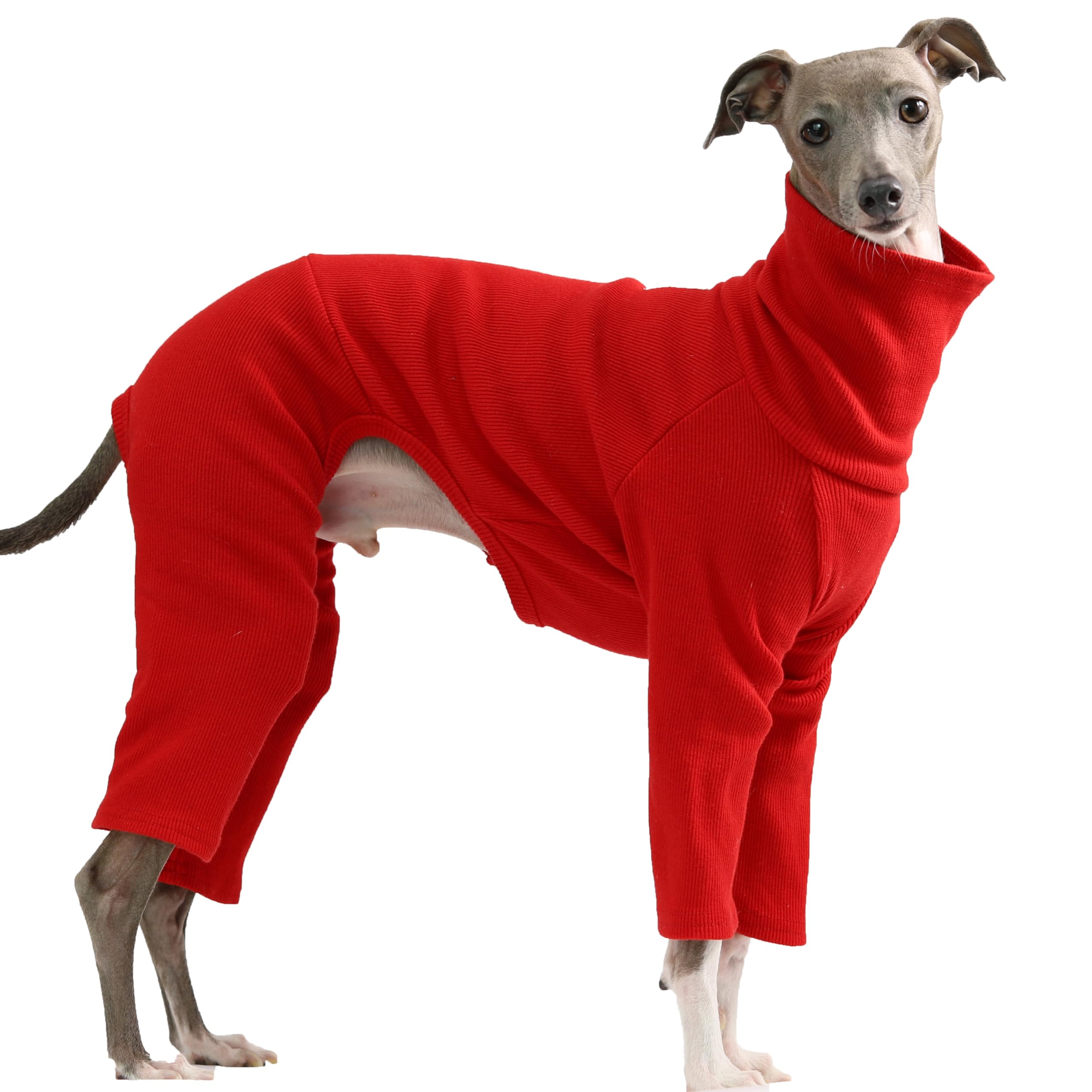 D Doggy Star Italian Greyhound Clothes Stretchable Onesie Whippet For Dog (M,Ribbed Red)