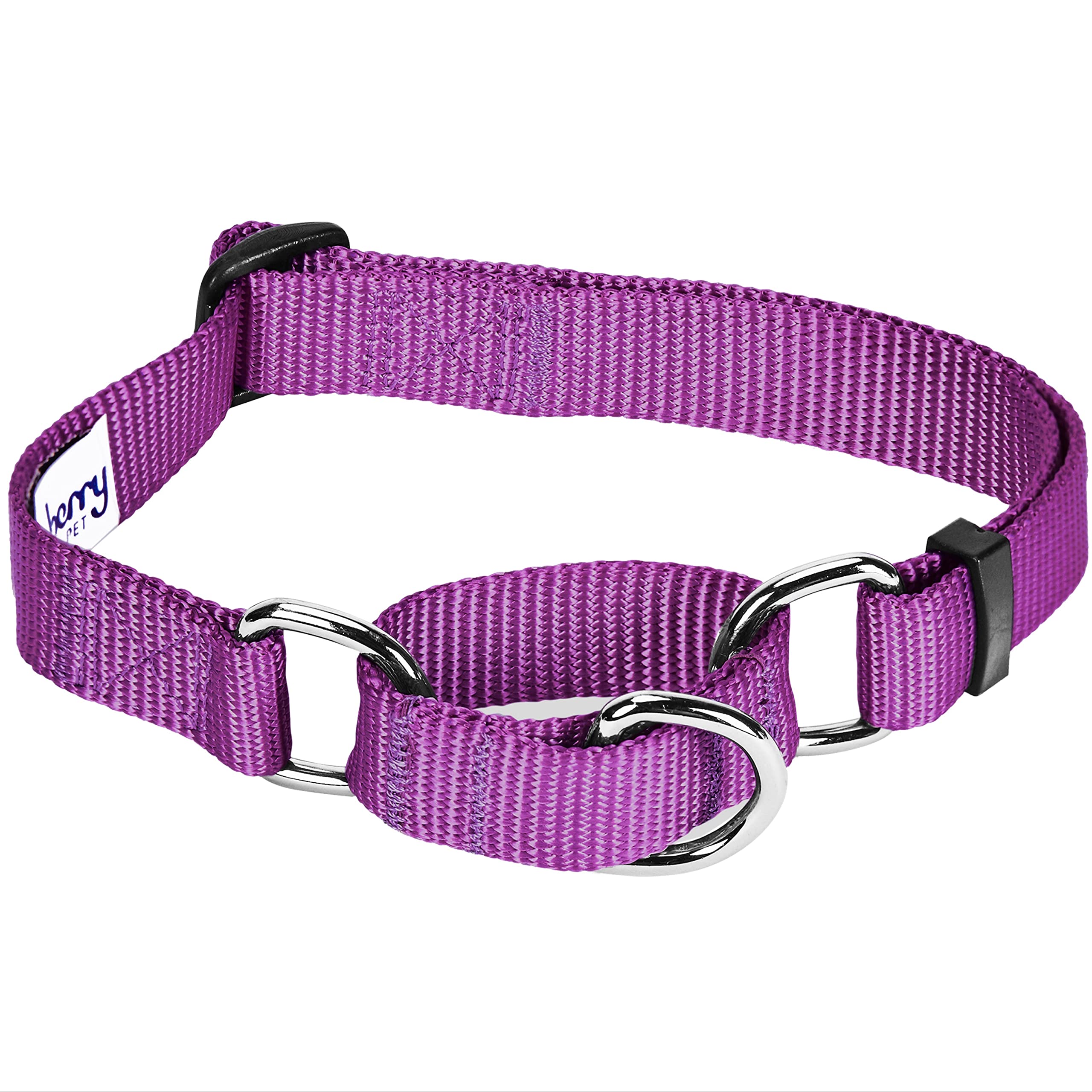 Blueberry Pet Essentials Martingale Safety Training Dog Collar, Violet, Large, Heavy Duty Nylon Adjustable Collars For Dogs