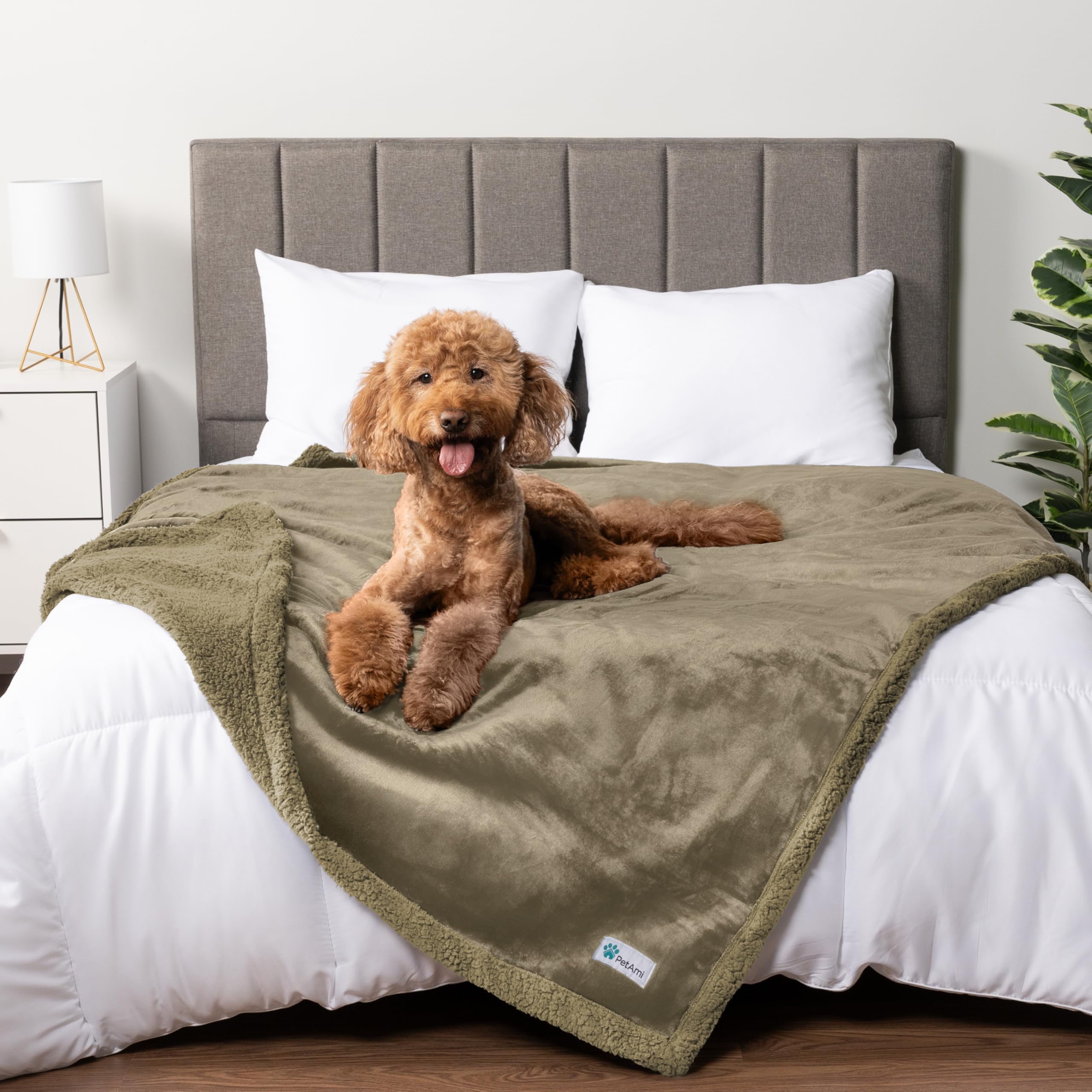 Petami Waterproof Dog Blanket For Medium Large Dog, Pet Puppy Blanket Couch Cover Protection, Sherpa Fleece Cat Blanket, Sofa Bed Furniture Protector Reversible Soft Plush Washable, 60X40 Taupe Taupe