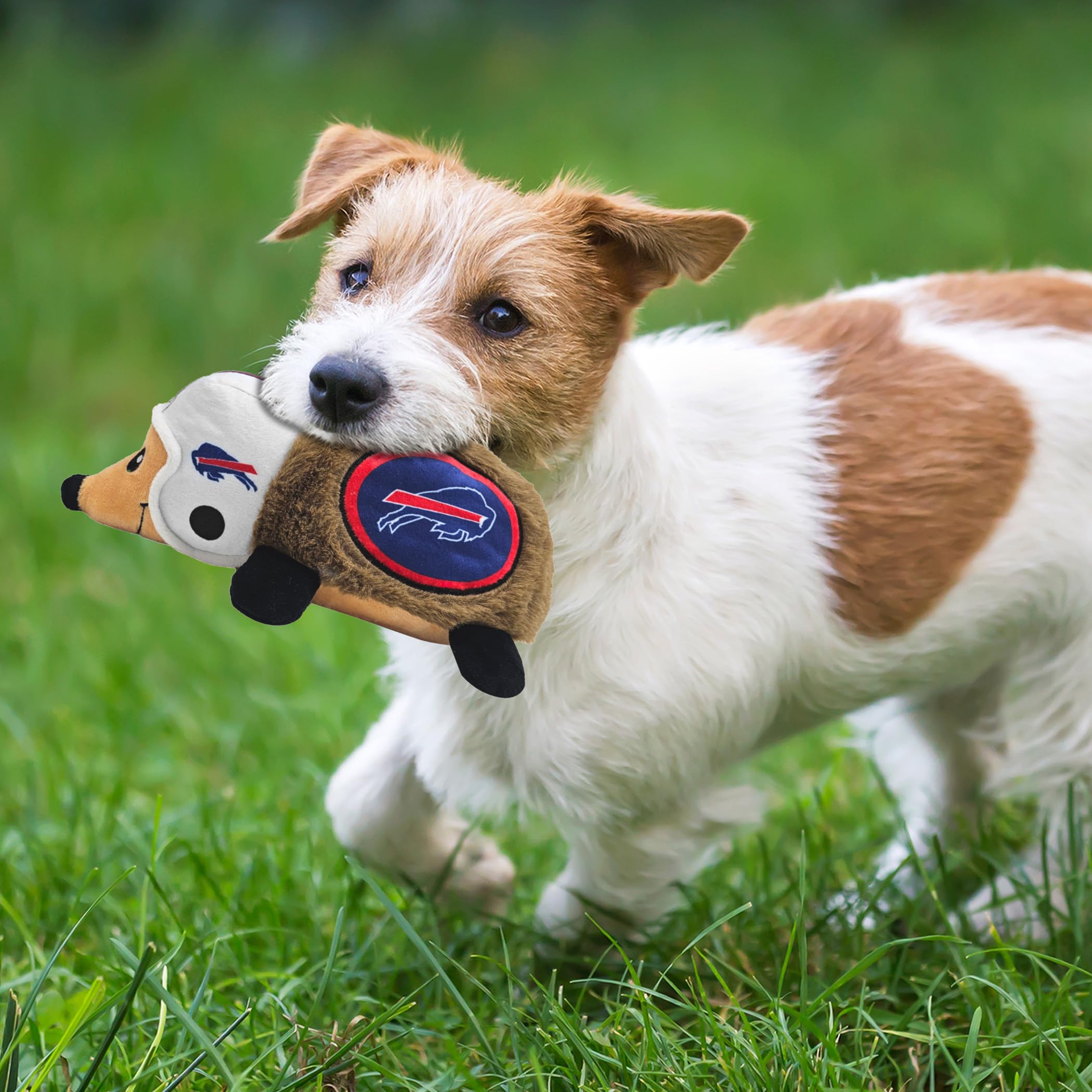 Nfl Buffalo Bills Plush Hedgehog Toy For Dogs & Cats, Cool Soft Pet Toy For Fun And Interactive Play, Dog Chew Toy With Squeaker