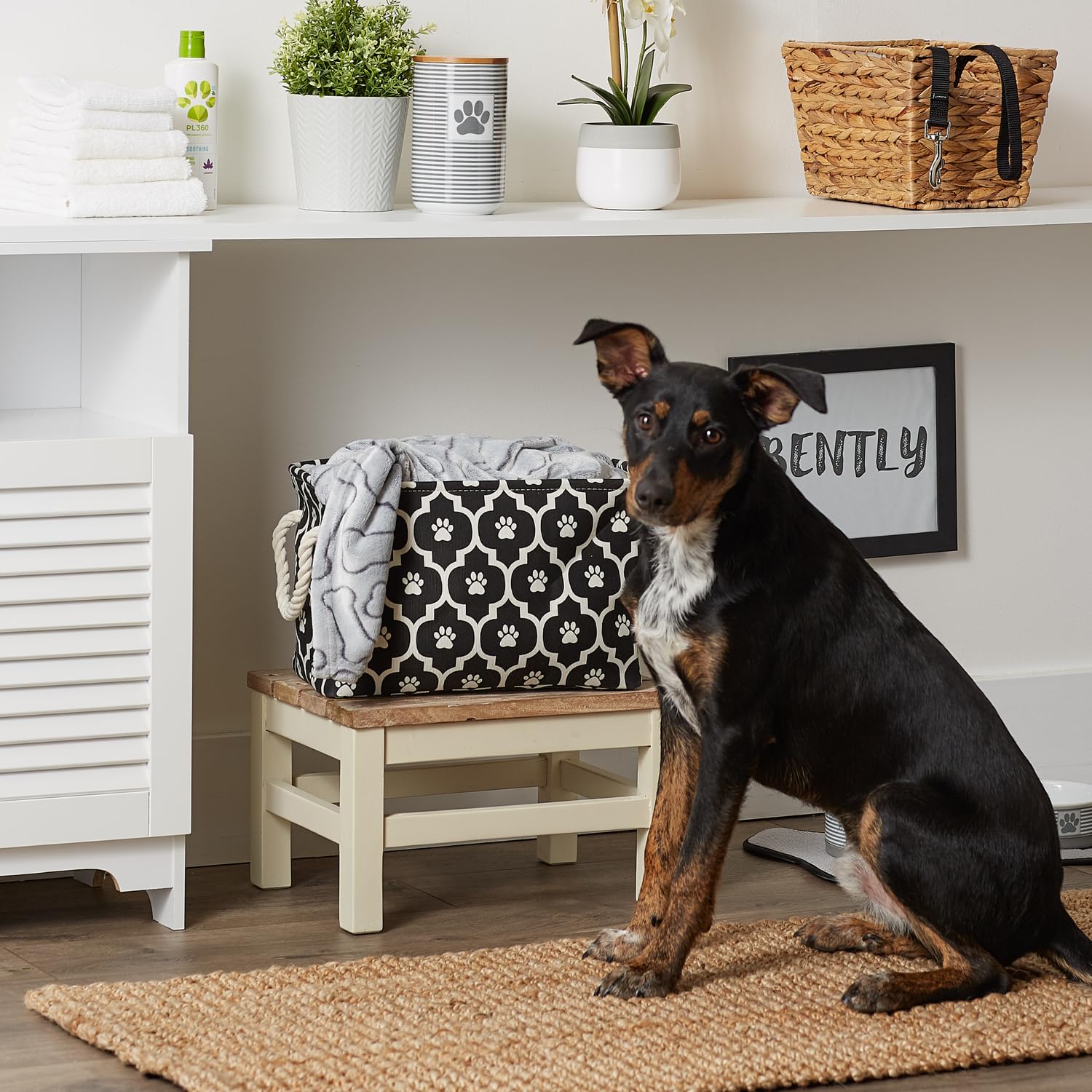 Bone Dry Pet Storage Collection Lattice Paw Print, Black, Small Rectangle