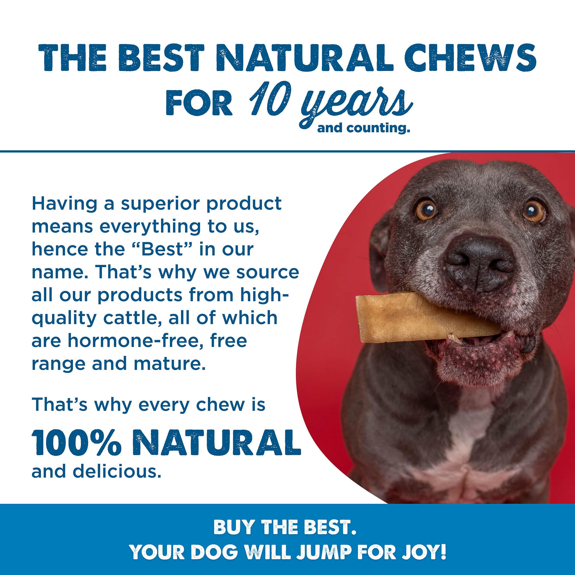 All-Natural USA Baked & Packed Himalayan Yak Cheese for Dogs - Vegetarian & Lactose Free - Fully Digestible, Long-Lasting Chews