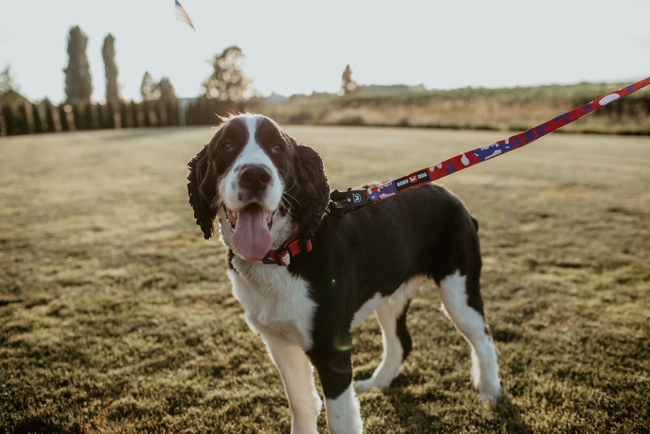 Boss Dog Tactical Leash, Red, White, Blue Camo, 6 Ft