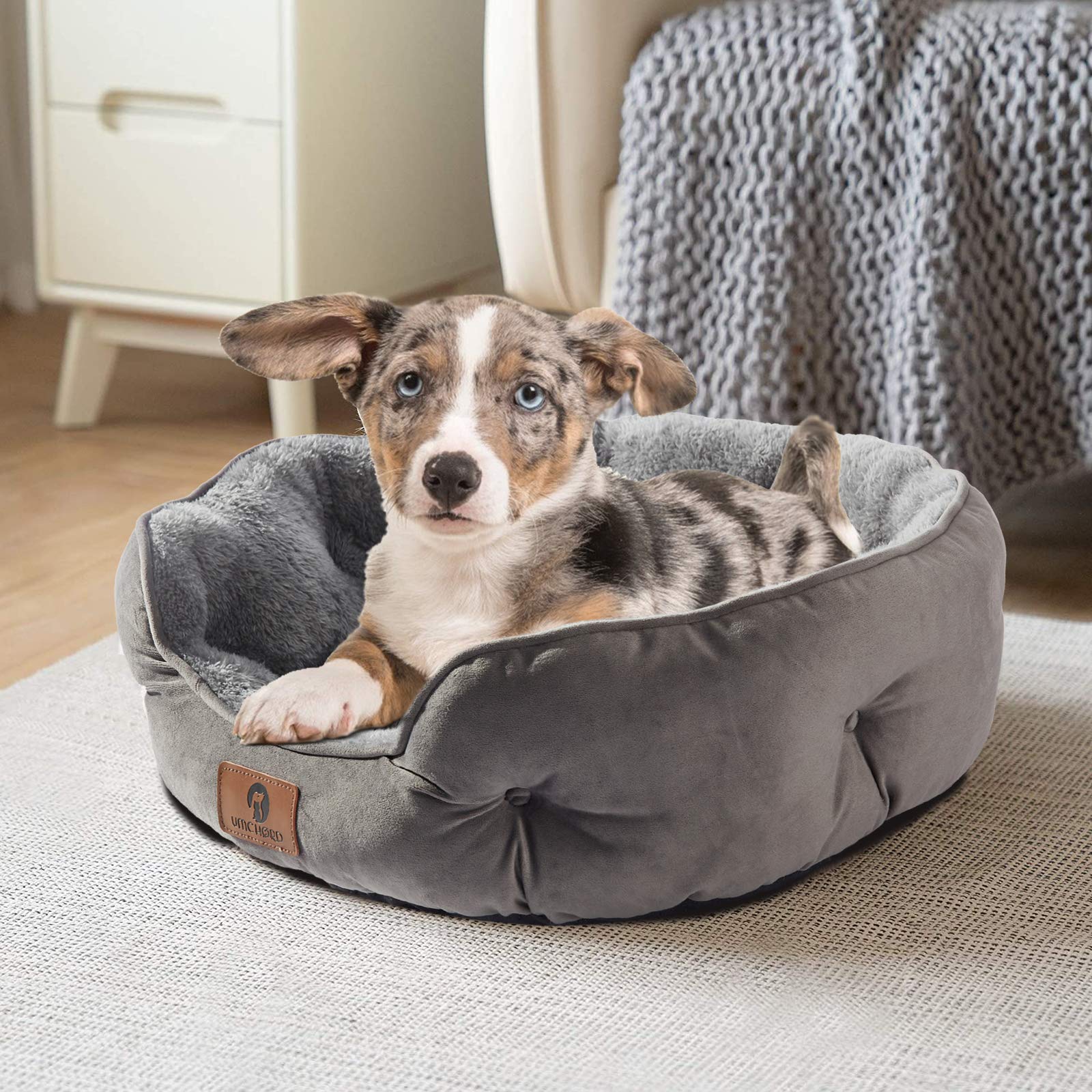 Asvin Medium Dog Bed - Soft Fleece Pet Bed for Dogs & Cats, Grey, 25 inches, Machine Washable, Anti-Slip, Water-Resistant