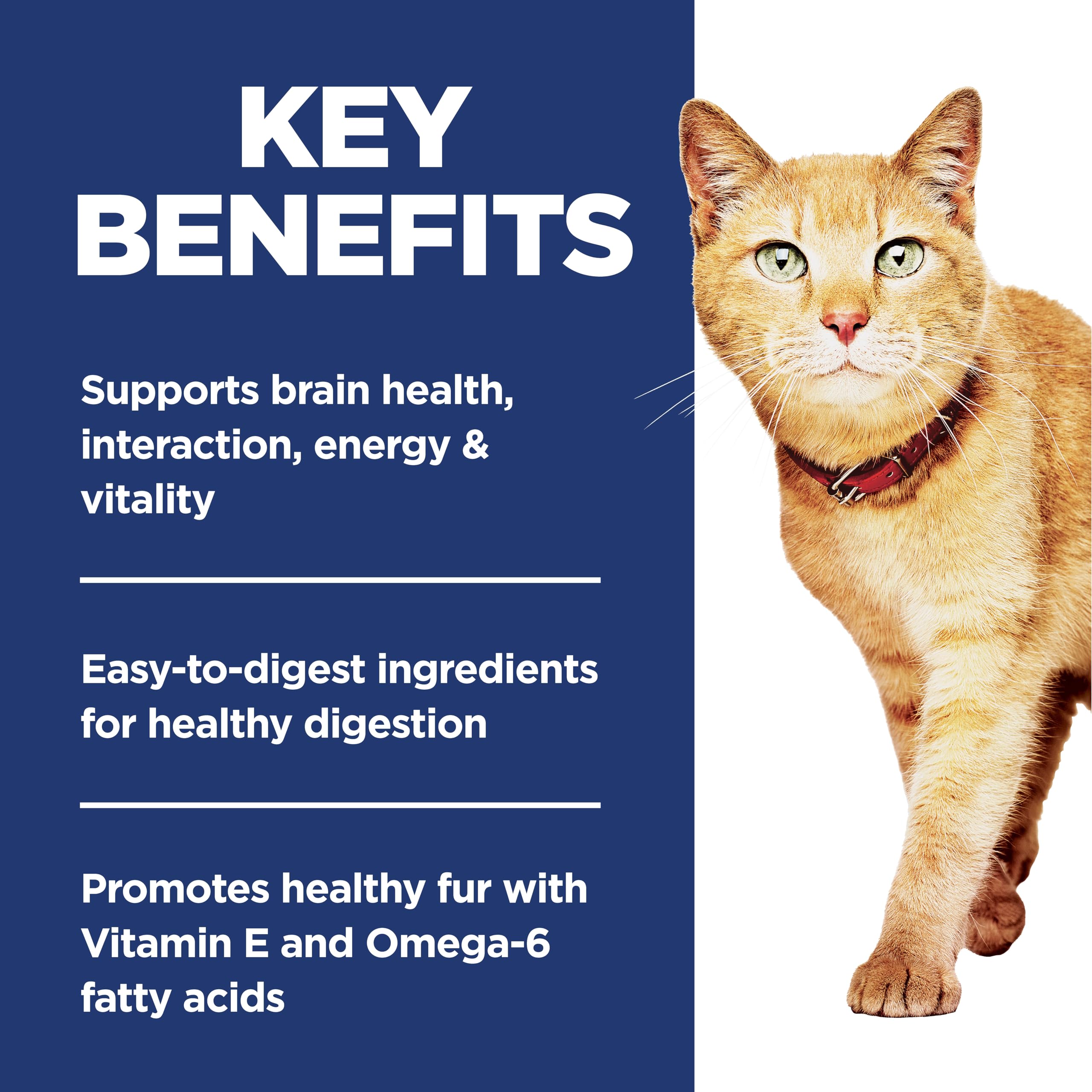 Hills Science Diet Adult 7+ Senior Vitality Chicken & Rice Recipe Dry Cat Food 3 lbs.