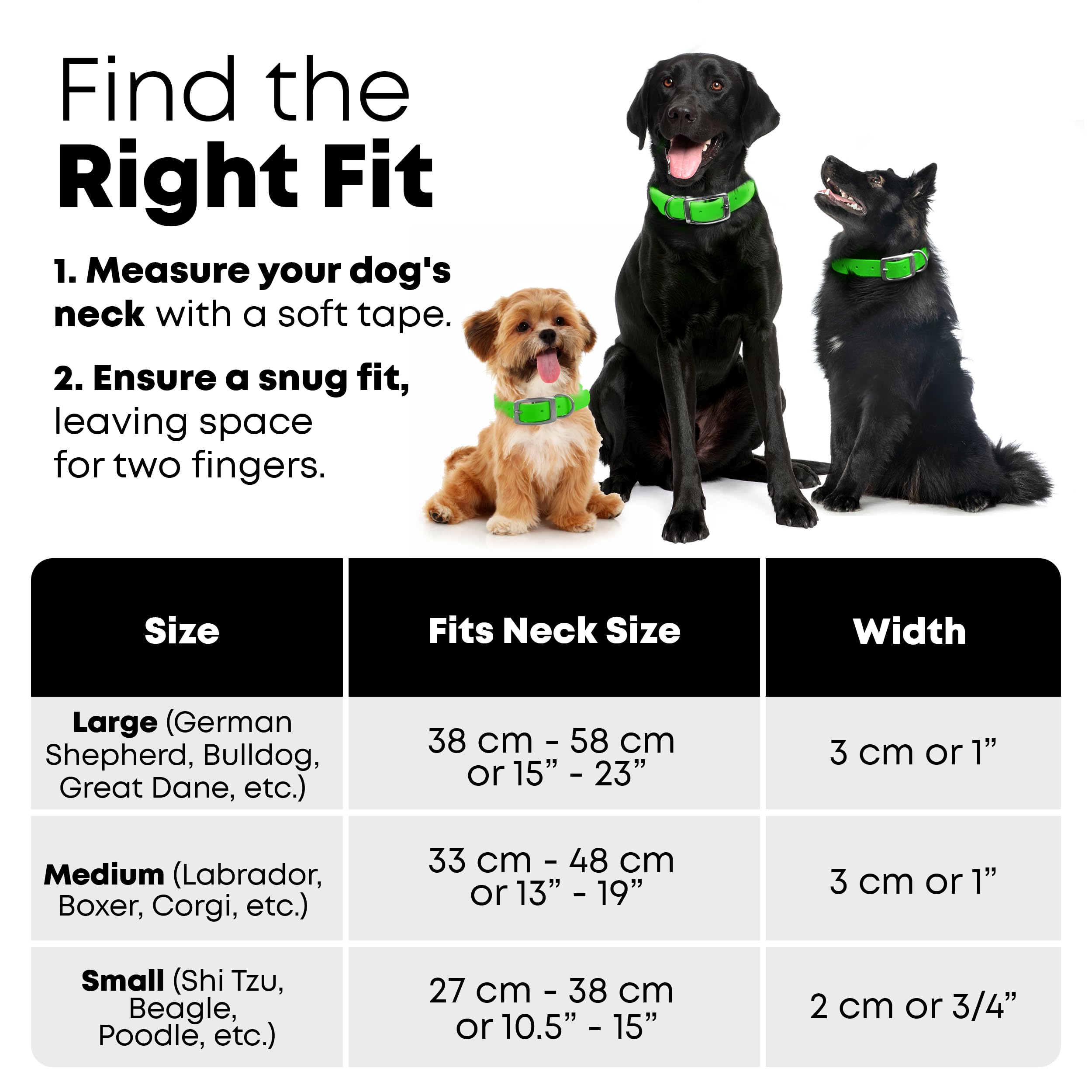 Regal Dog Products Medium Light Green Waterproof Dog Collar and Leash Set | Heavy Duty Double Buckle & D Ring - 5'ft Leash | Adj