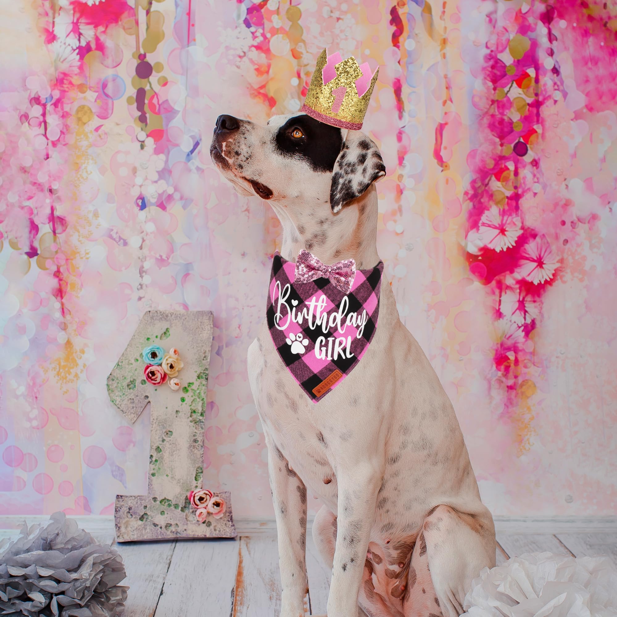 Adoggygo Dog Birthday Party Supplies, Pink Plaid Birthday Girl Dog Bandana, Golden Pet Party Hat With Numbers, Bowtie For Medium