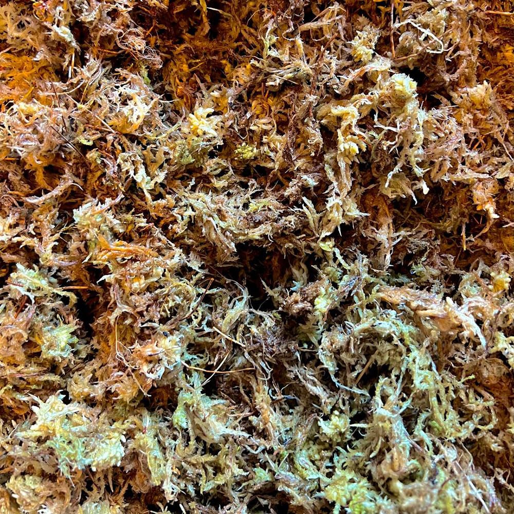 Lugarti Premium Sphagnum Moss for Reptiles
