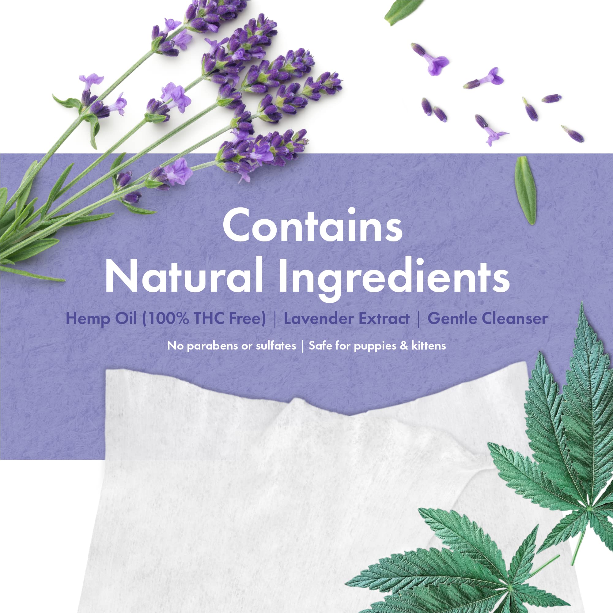 Petkin Hemp Pet Wipes For Dogs And Cats - With Hemp Oil & Calming Lavender Scent, 200 Count - Soothes, Calms & Conditions - Wipe