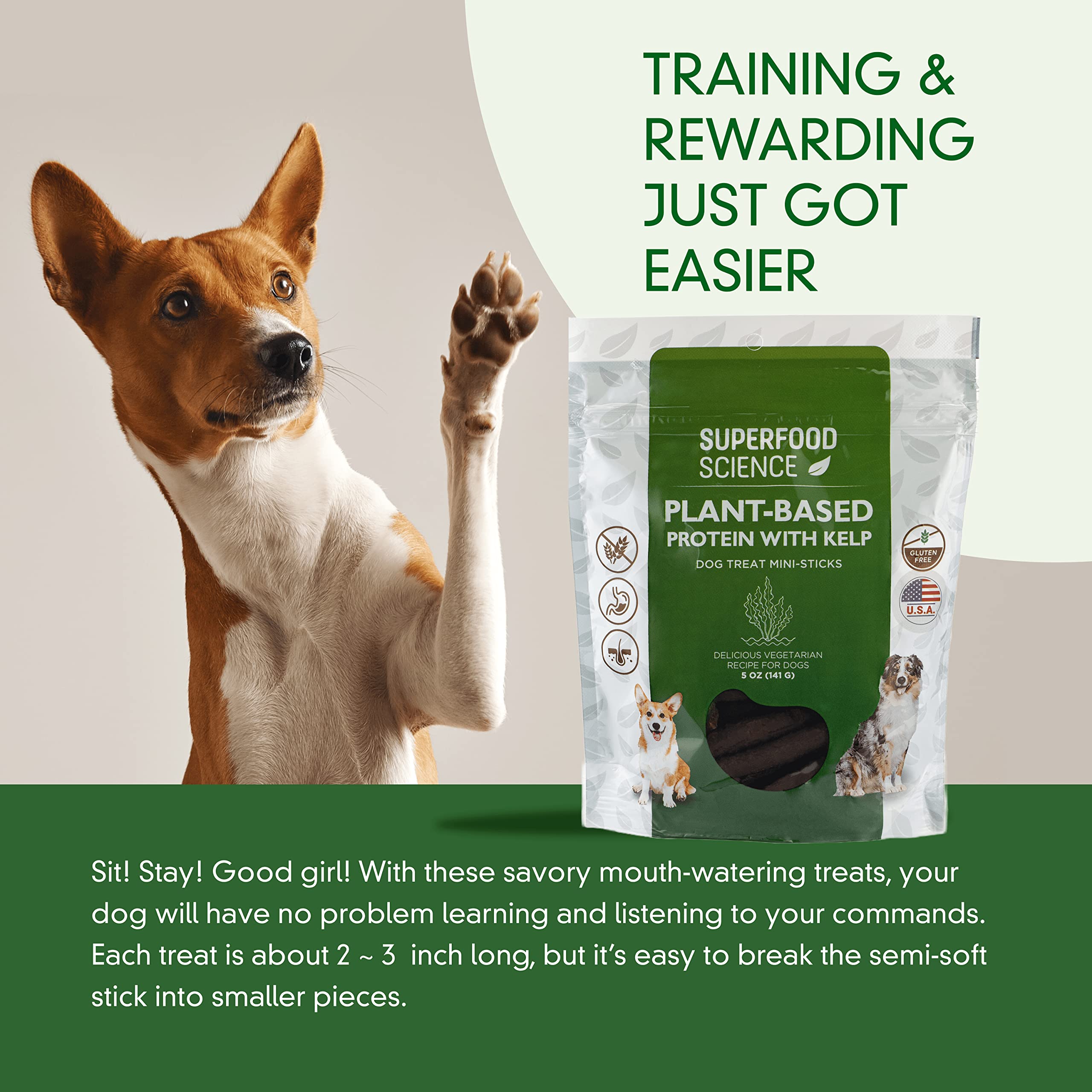 Hypoallergenic Healthy Dog Treats: Plant-Based Vegetarian Dog Snacks w/ Kelp, Sweet Potato, Chia, Flaxseed, Coconut Oil for Skin