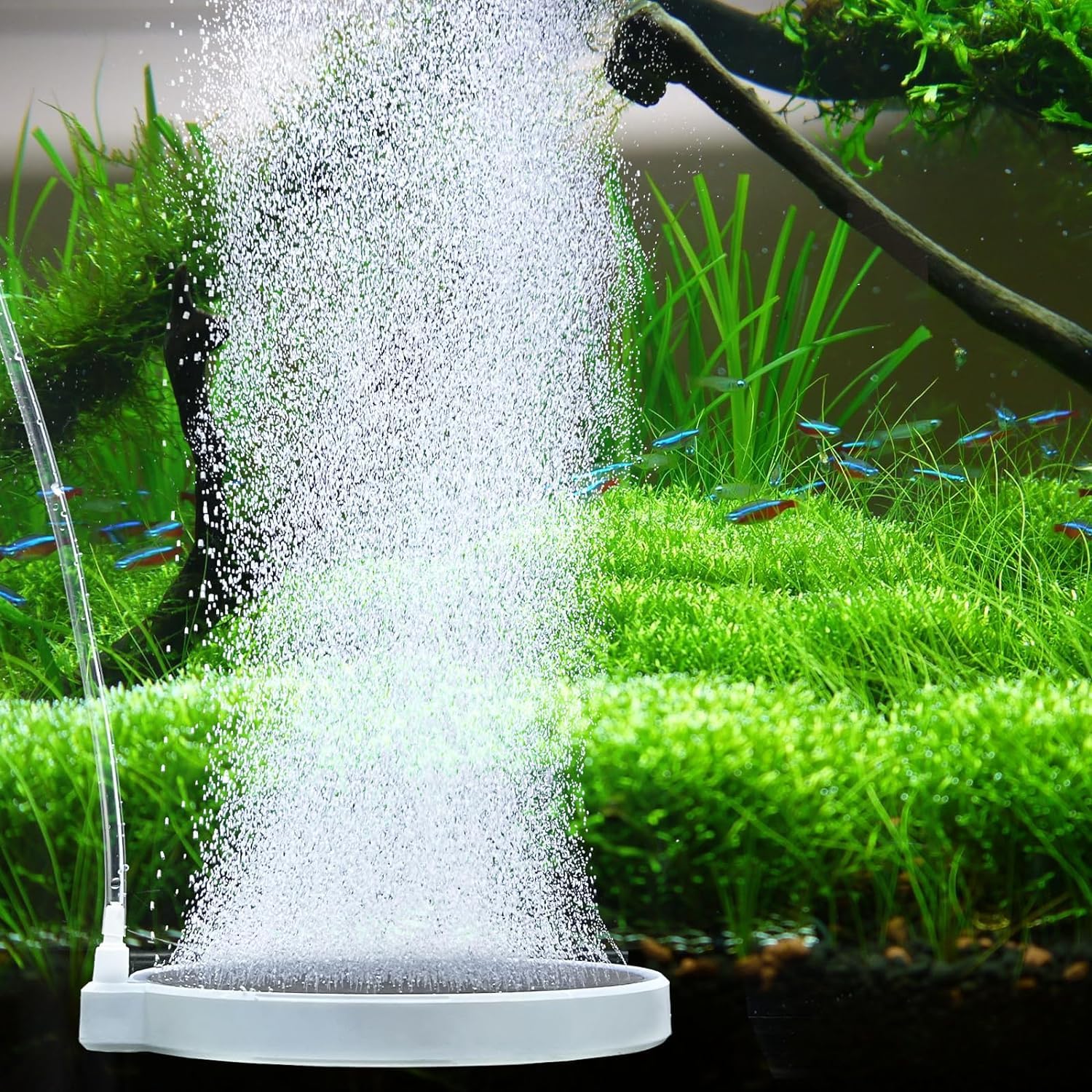 UPETTOOLS Nano Air Stone for Fish Tank - 6 Inch Quiet Aquarium Bubbler Stone Kit, Ultra-High Dissolved Oxygen Diffuser Aquarium 