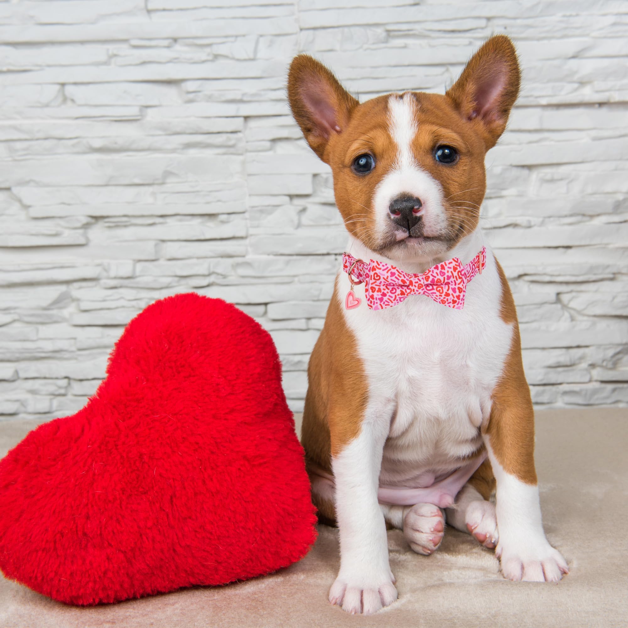 Adoggygo Valentine Dog Collar With Bow, Metal Buckle, Adjustable Pink Heart Bowtie Pet Valentine Collars For X-Small Dogs (X-Sma