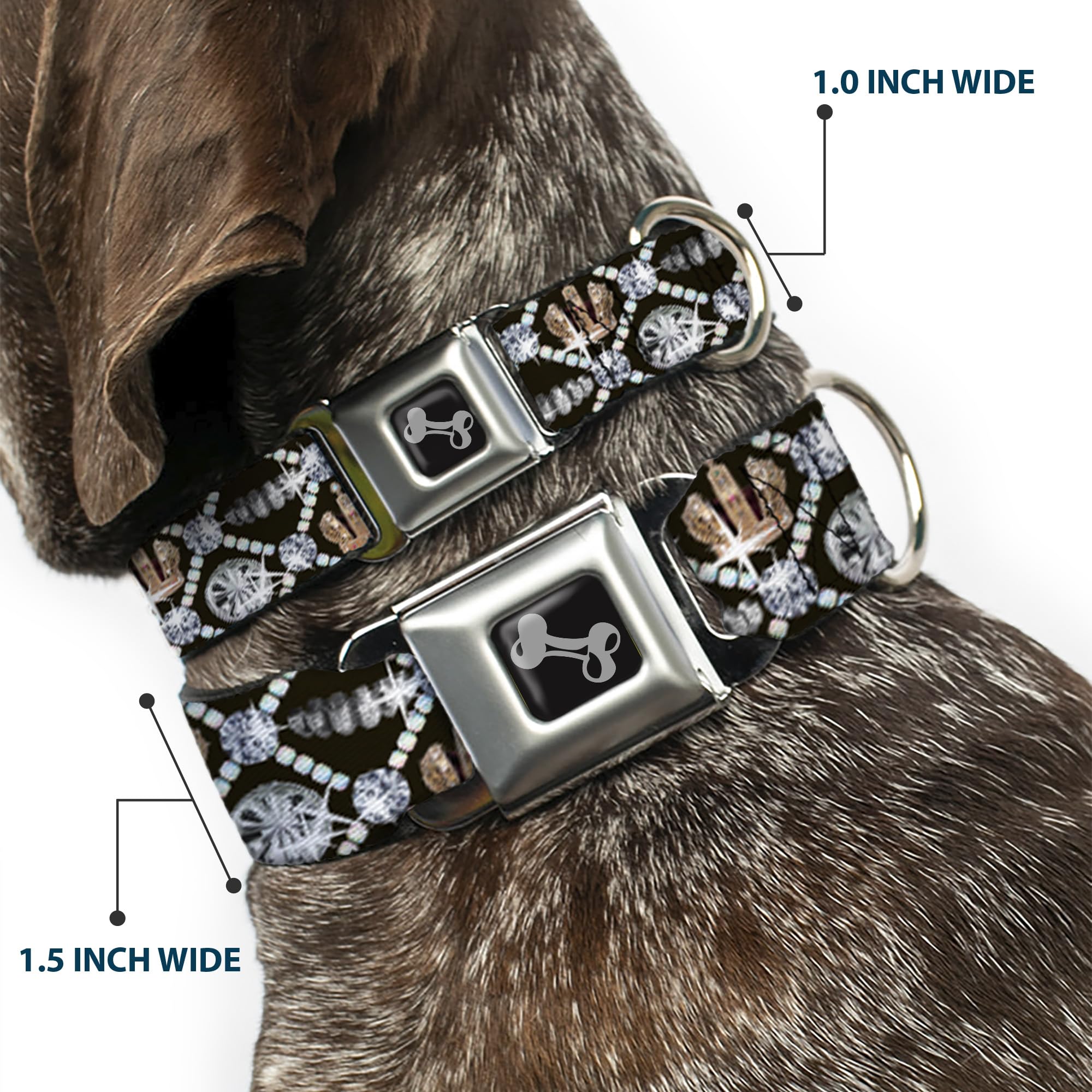 Buckle-Down Seatbelt Buckle Dog Collar - Bling - 1' Wide - Fits 11-17' Neck - Medium