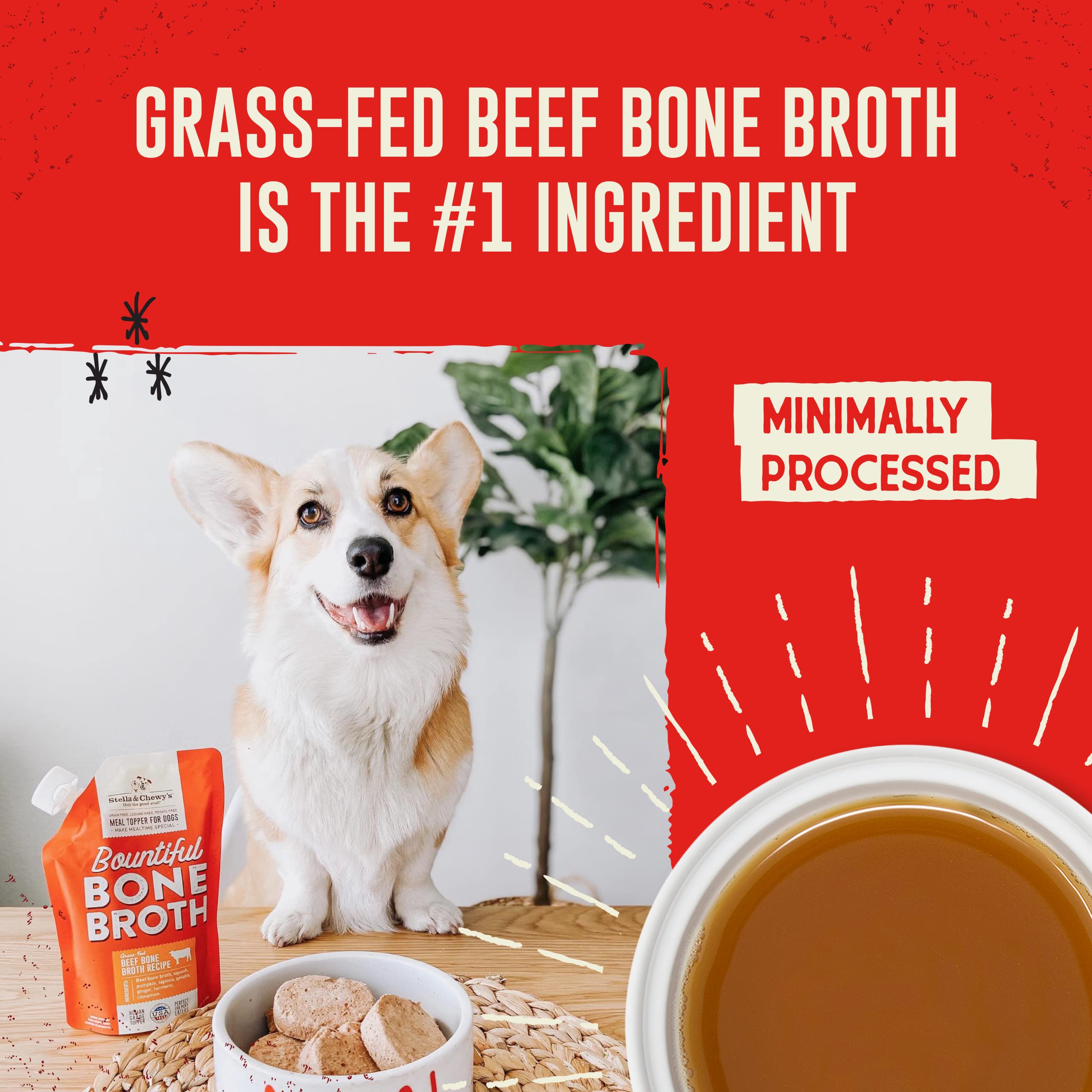 Stella & Chewy's Bountiful Bone Broth Meal Topper for Dogs, 16 Oz, Beef Flavor, Resealable Pouch, Model BBB-B-16-EA