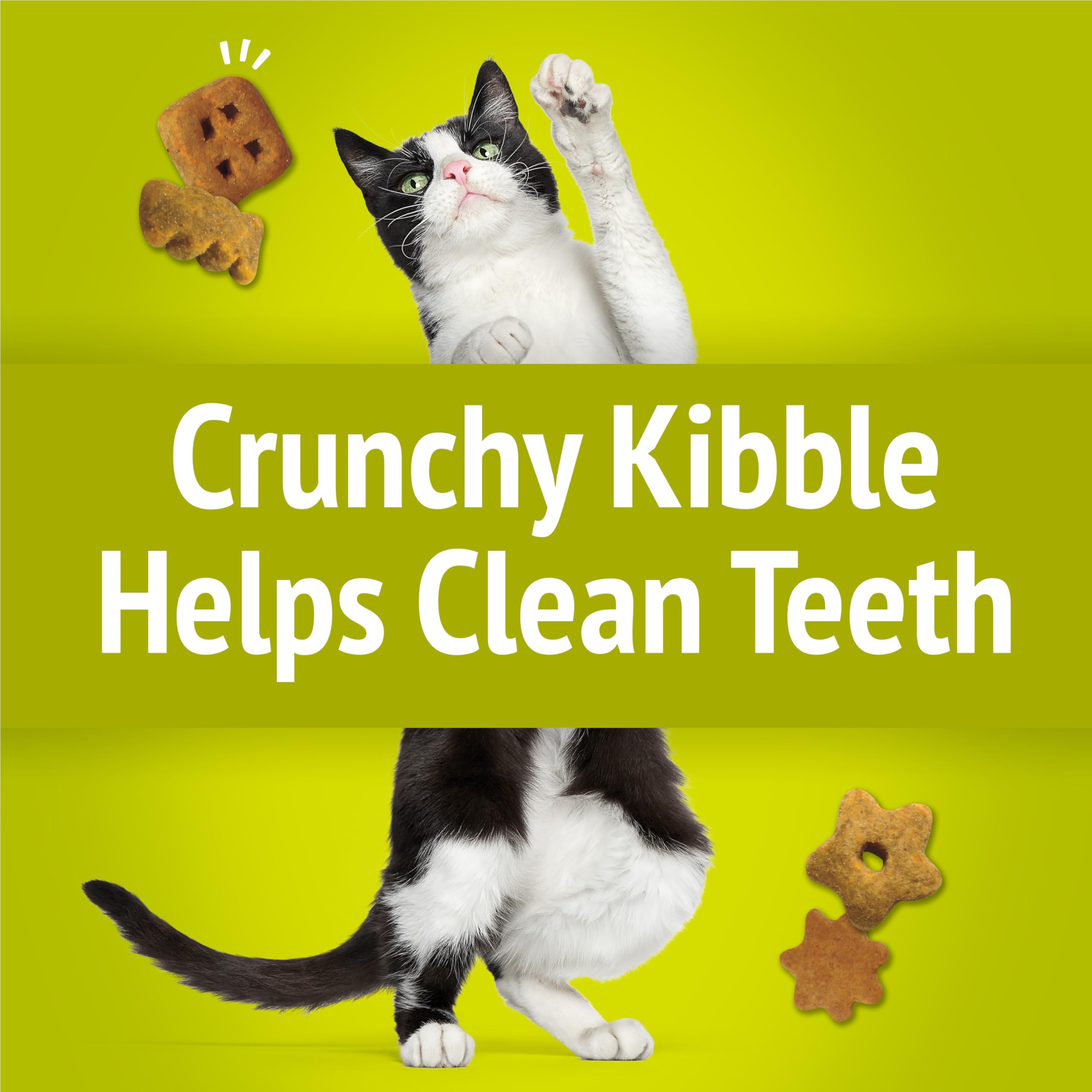 Purina Friskies Party Mix Morning Munch Crunch Cat Treats - 2.1 oz. Pouch