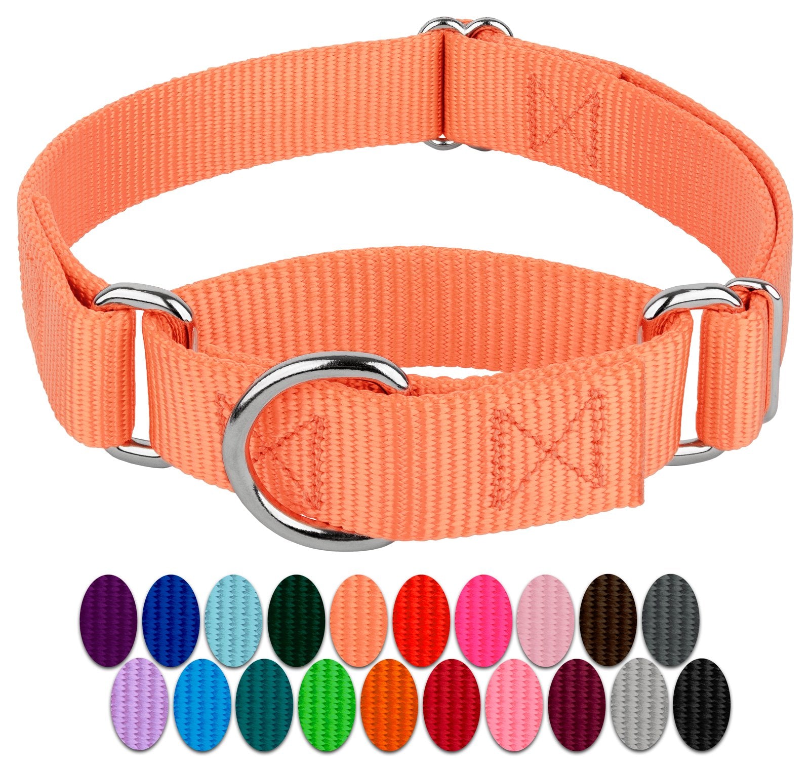 Country Brook Petz - Mango Martingale Heavy Duty Nylon Dog Collar - 21 Vibrant Color Options (1 Inch Width, Extra Large)