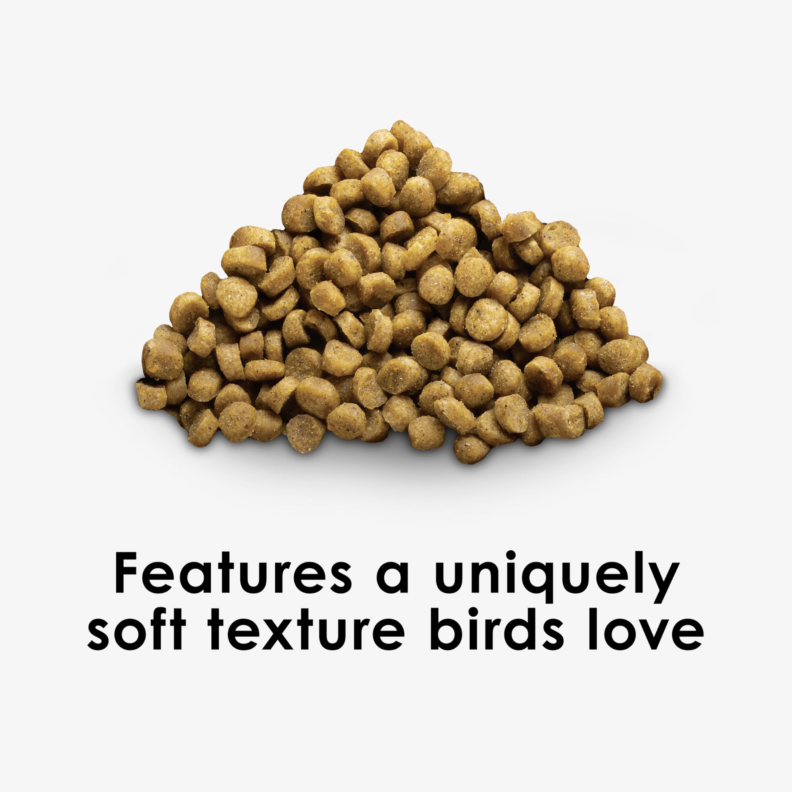 Kaytee NutriSoft Conure and Parrot Food - 3 lb