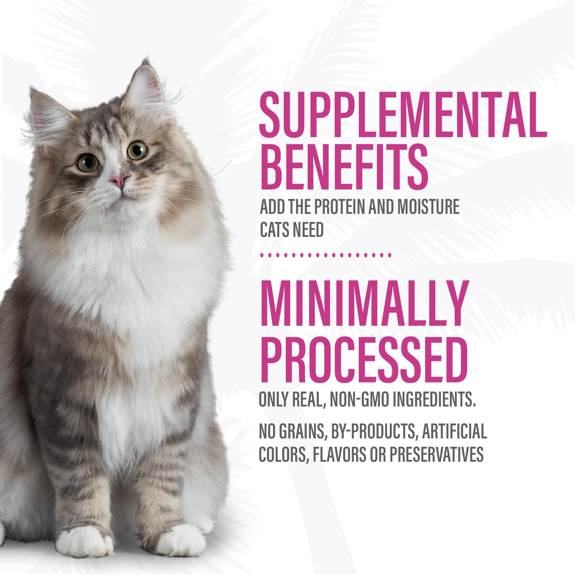 Tiki Cat Born Carnivore Complements Wet Cat Food Topper, Chicken & Egg 2.1 oz. Pouch (12 Count)