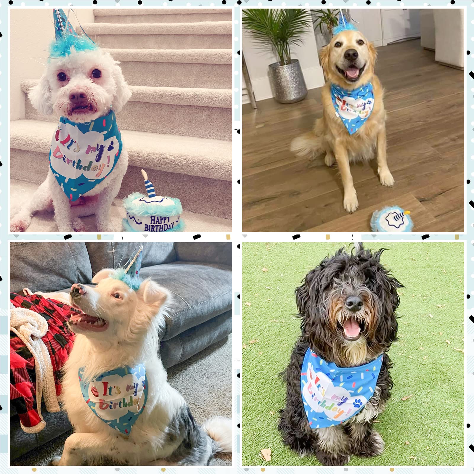 Expawlorer Dog Birthday Bandana Set - Cute Hat And Squeaky Cake Toy For Birthday Party Supplies Gift - Great For Small Medium Large Dogs