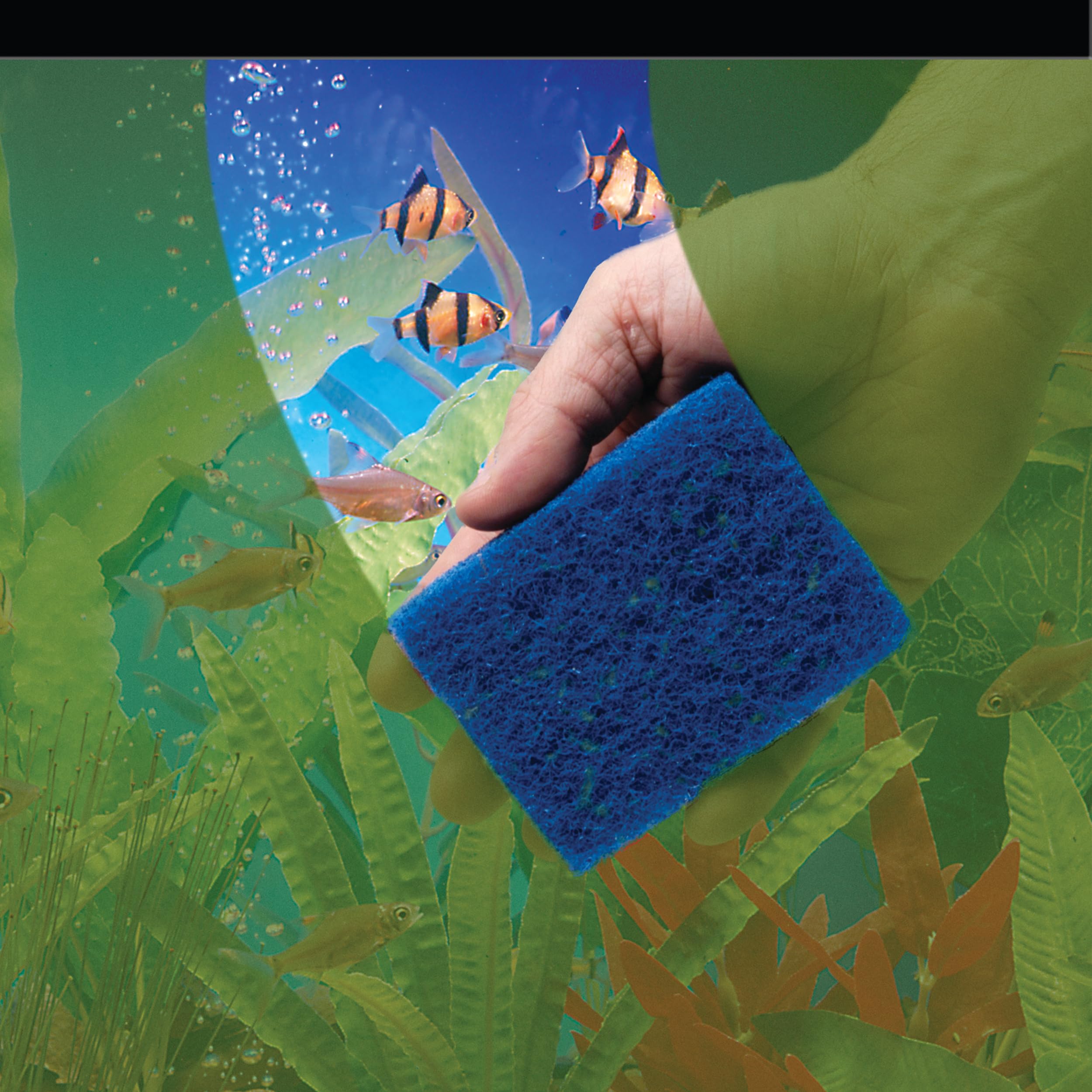 Penn-Plax Wzp1 Wizard Grime Scrubber Pad – For Glass Tanks – 3” X 4”