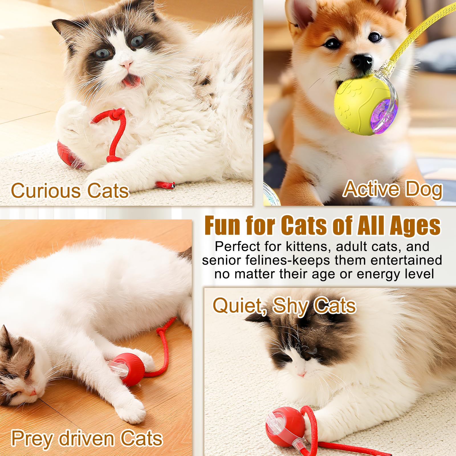 Alxuses 360 Smart Automatic Rolling Pet Ball,Interactive Cat Toys Balls,Automatic Moving Cat Balls,Interactive Cat Toys for Bore