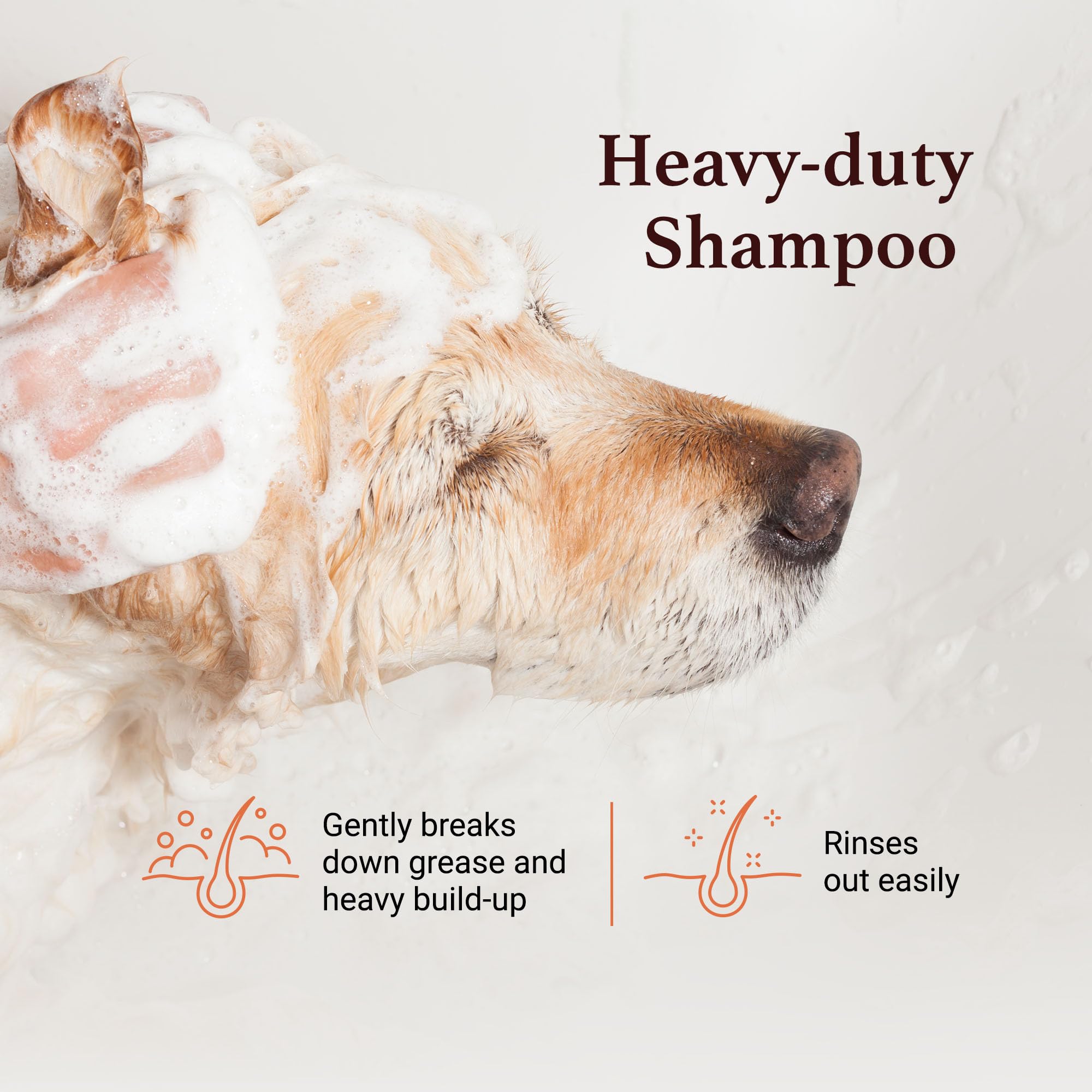 Igroom Squeaky Clean Dog Shampoo, Luxury Pet Beauty Care, Intense Cleaning Power, Chamomile Extracts Sooth Skin, Made In Usa (1 Gal)
