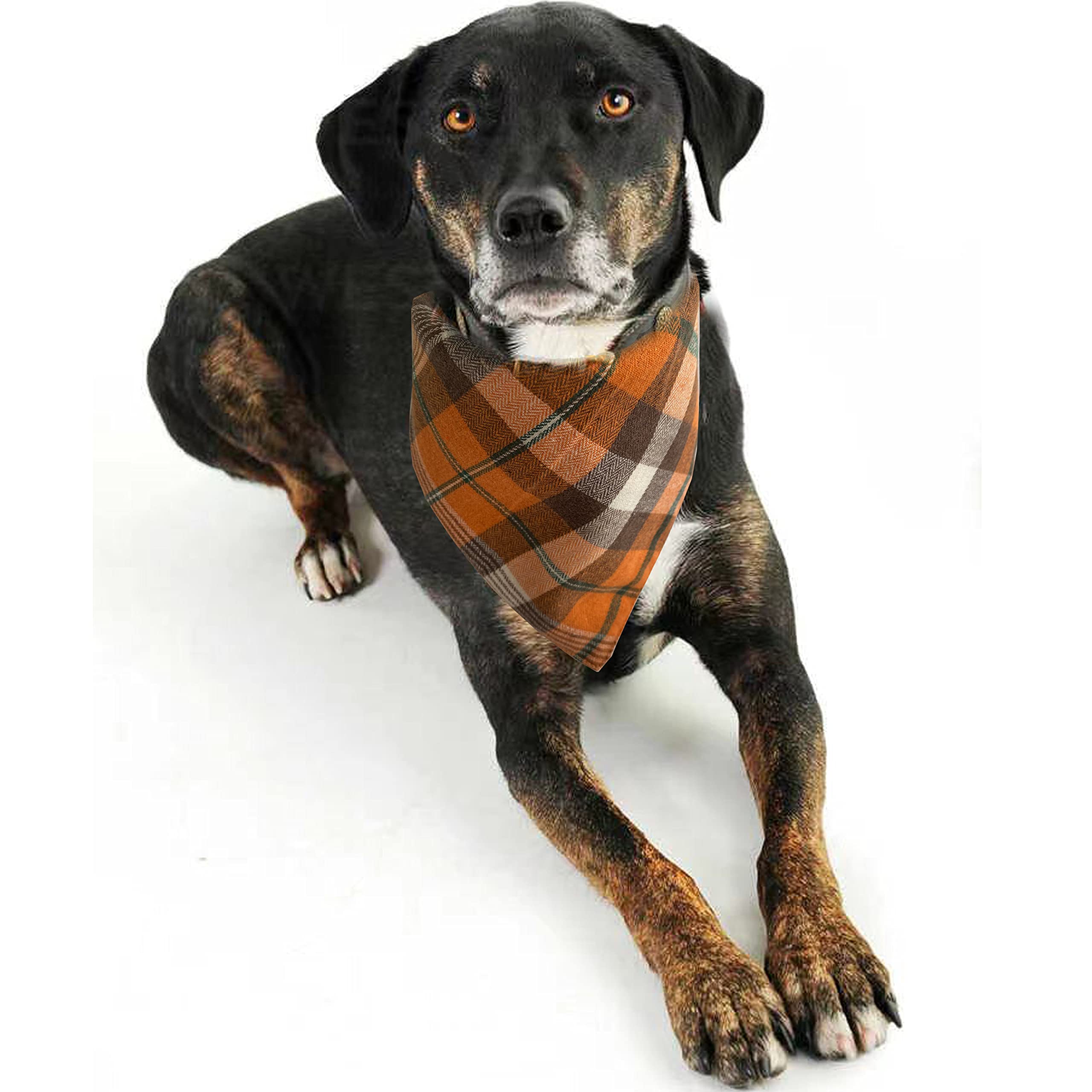 Realeaf Thanksgiving Fall Dog Bandanas 2 Pack, Orange Plaid Pet Scarf For Boy And Girl, Premium Durable Fabric, Holiday Halloween Bandana For Small And Medium Dogs (Small)
