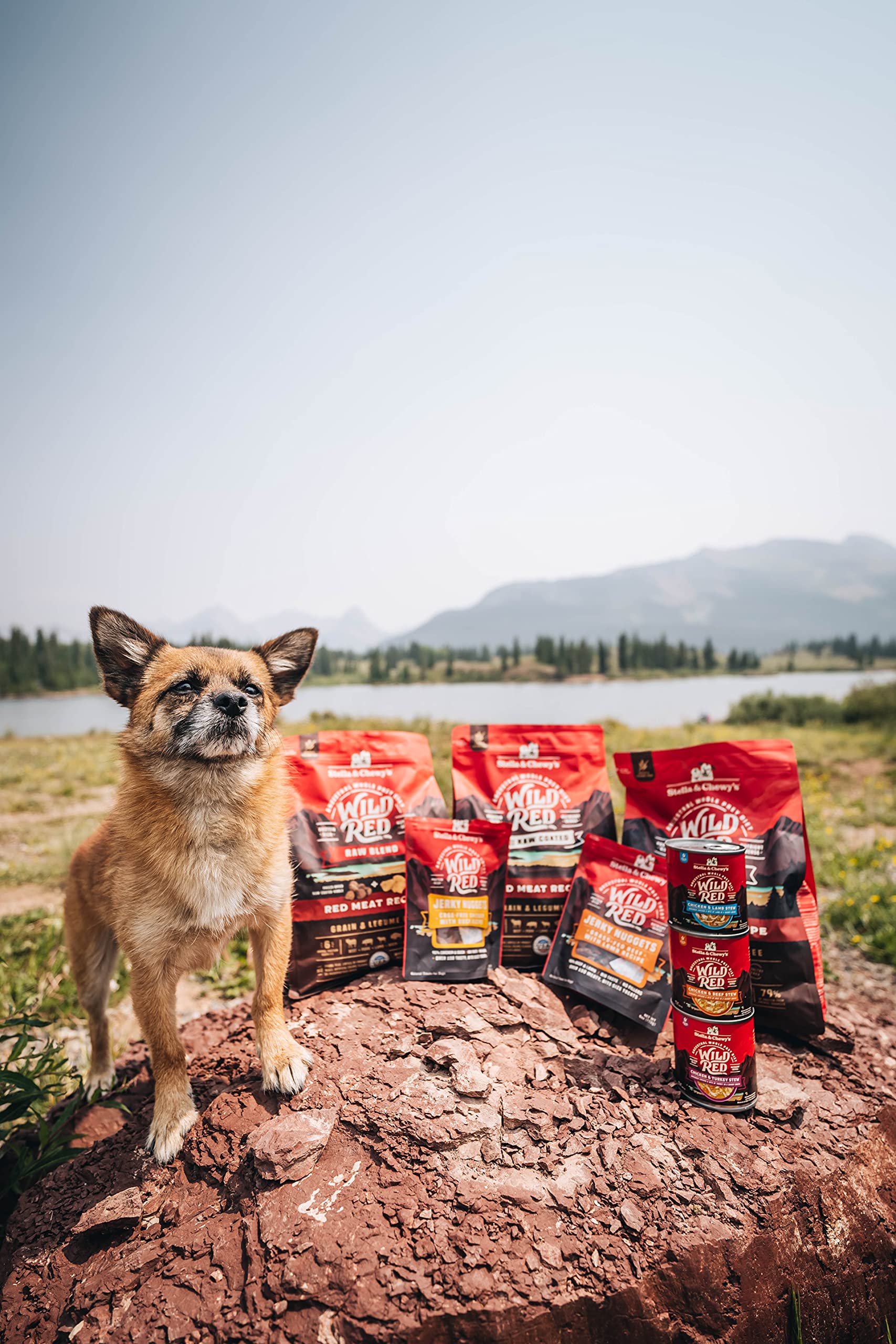 Stella & Chewys Wild Red Dry Dog Food Raw Blend High Protein Grain & Legume Free Red Meat Recipe, 3.5 lb. Bag