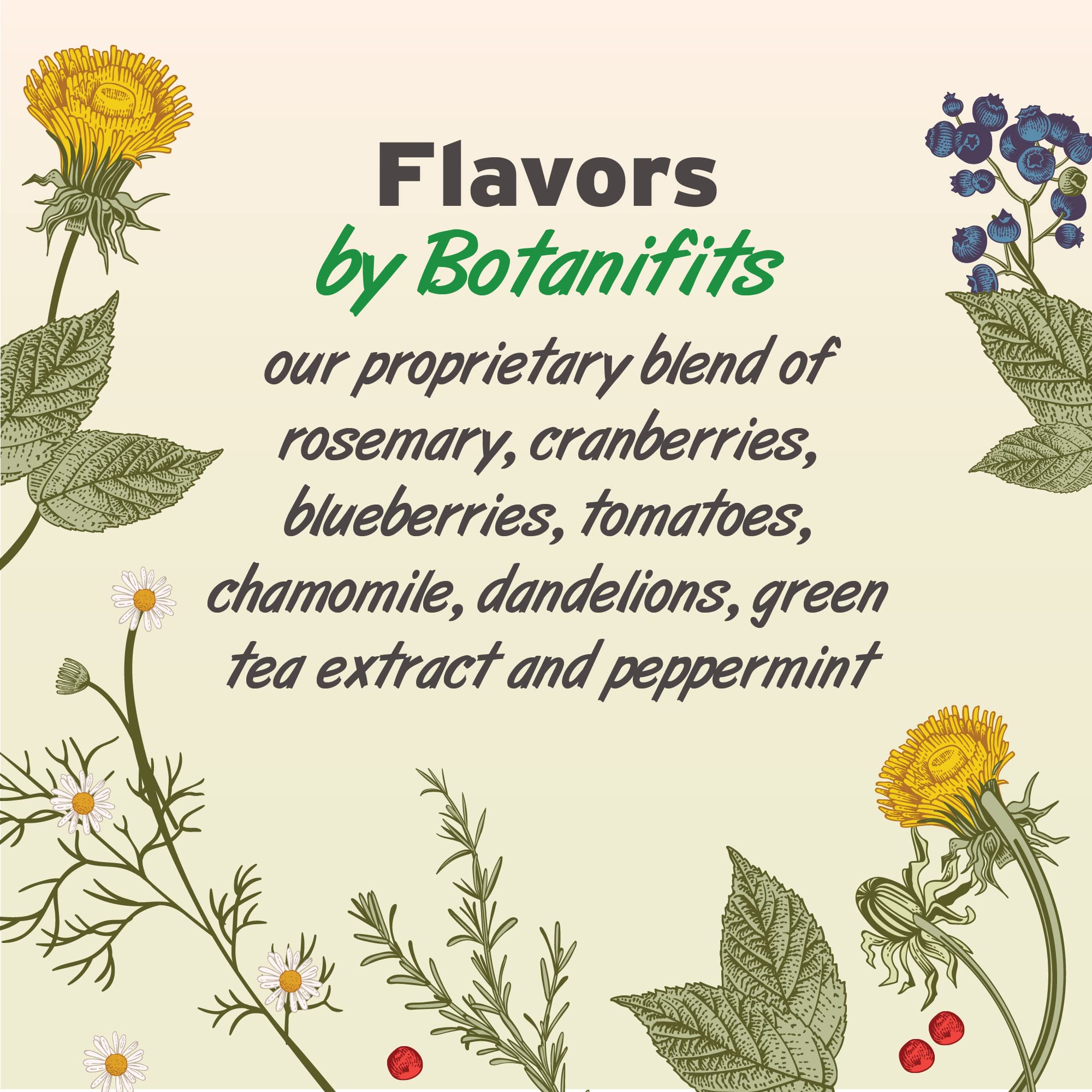 Pet Botanics 6 Oz. Pouch Training Reward Freeze Dried, Beef Liver Flavor, with 310 Treats Per Bag, The Choice of Top Trainers