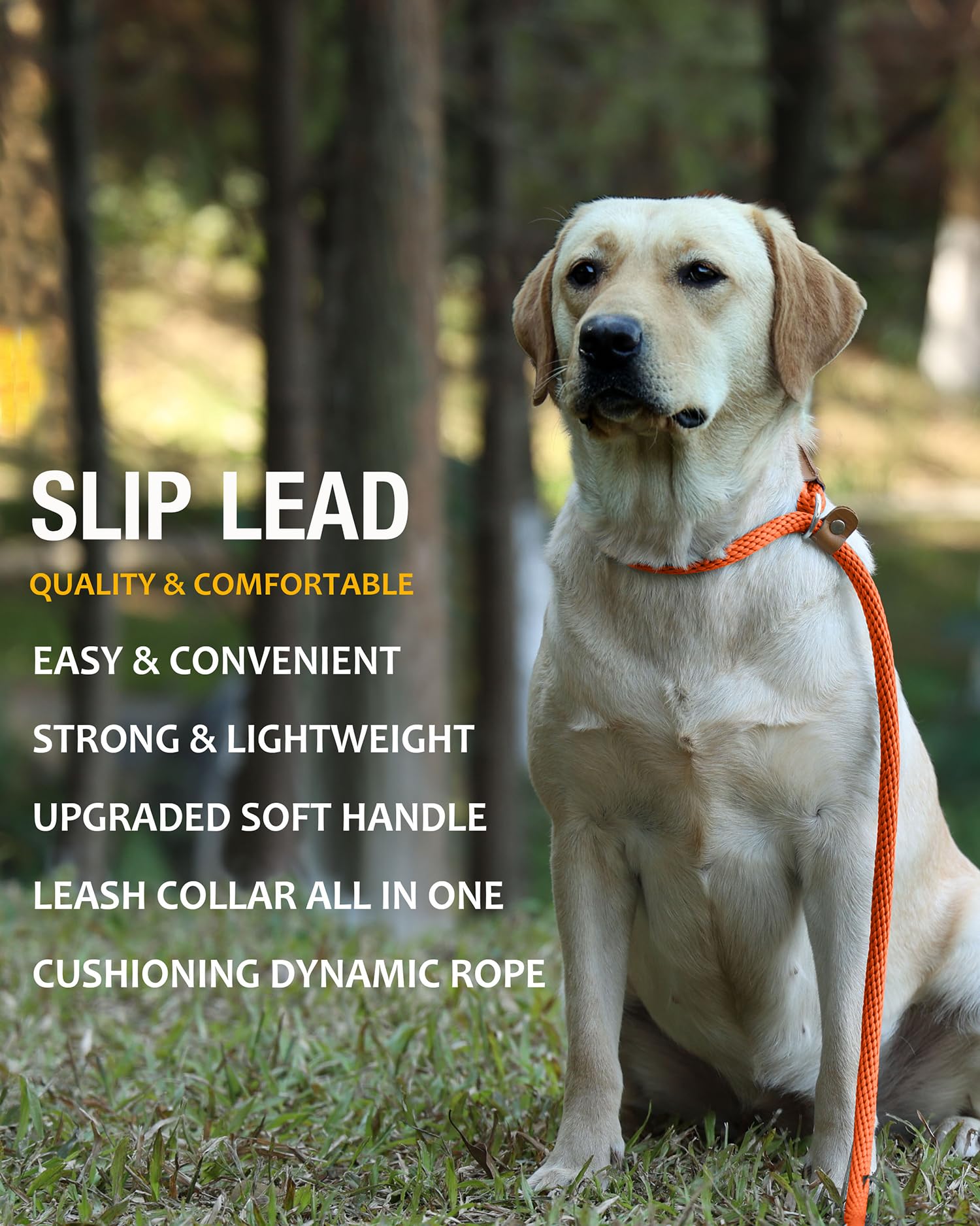Lynxking Dog Leash Slip Lead 5 6 8 Ft Dog Training Leash Strong Heavy Duty Braided No Pull Training Lead Leashes For Small Medium Large Dogs