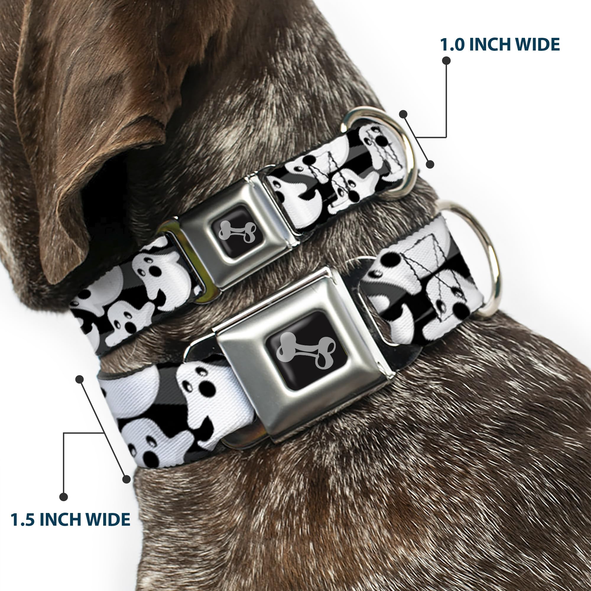 Buckle-Down Dog Collar Seatbelt Buckle Ghosts Scattered Black White 11 To 17 Inches 1.0 Inch Wide, Multicolor (Dc-W30785-M)