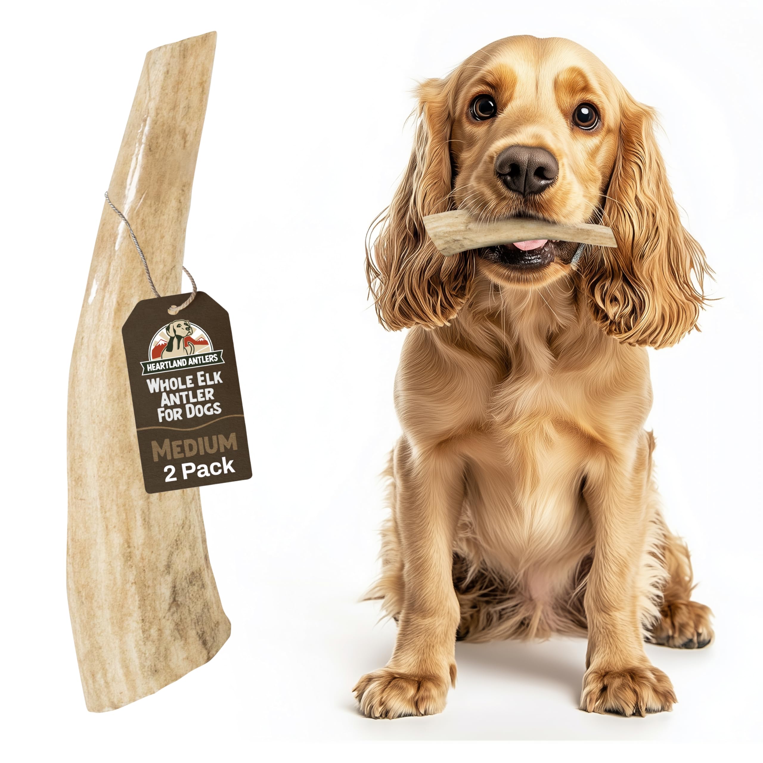 Heartland Elk Antlers for Dogs (Whole Elk, 5-6, Medium, 2-Pack) - Grade A, Naturally Shed | Long-Lasting, Odor-Free Chew for Agg