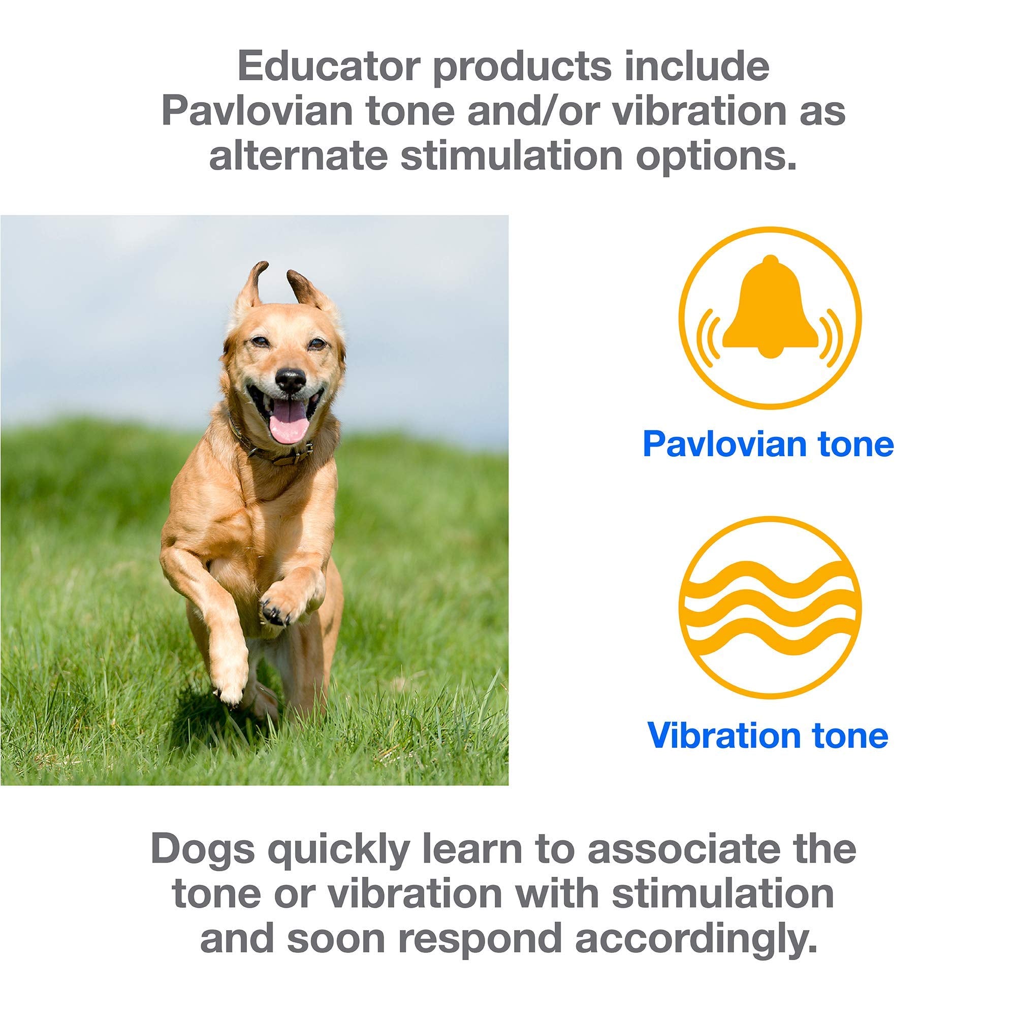 Educator E-Collar Humane Dog Training Collar With Remote, 100 Safe Tapping Stimulation Levels, Night Light, Waterproof, Rechargeable, 1/3 Mile 1 Small Dog, Purple