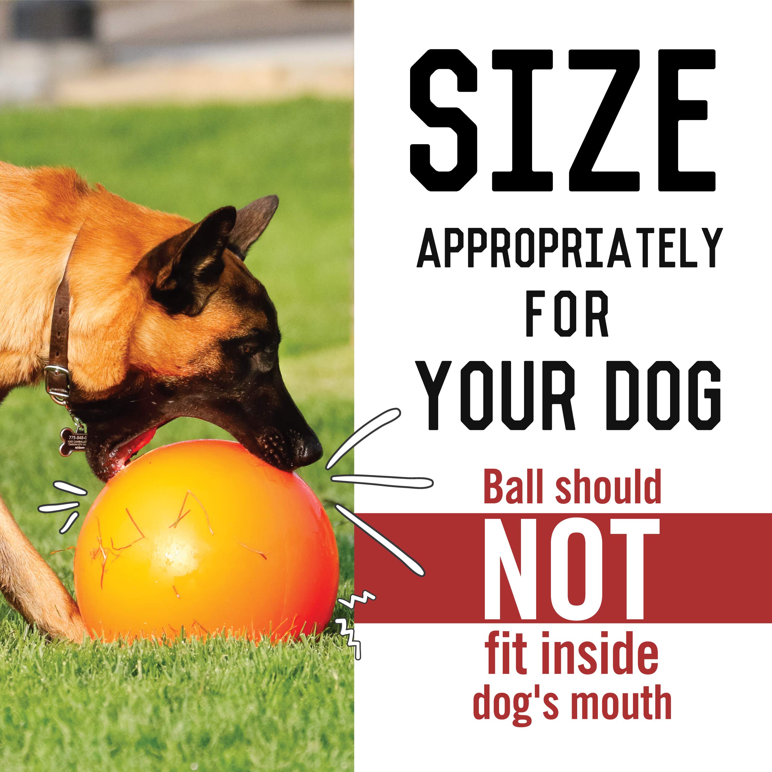 Doggie Dooley Virtually Indestructible Best Ball For Dogs, 8 Inch (Colors Vary) (1008),Medium