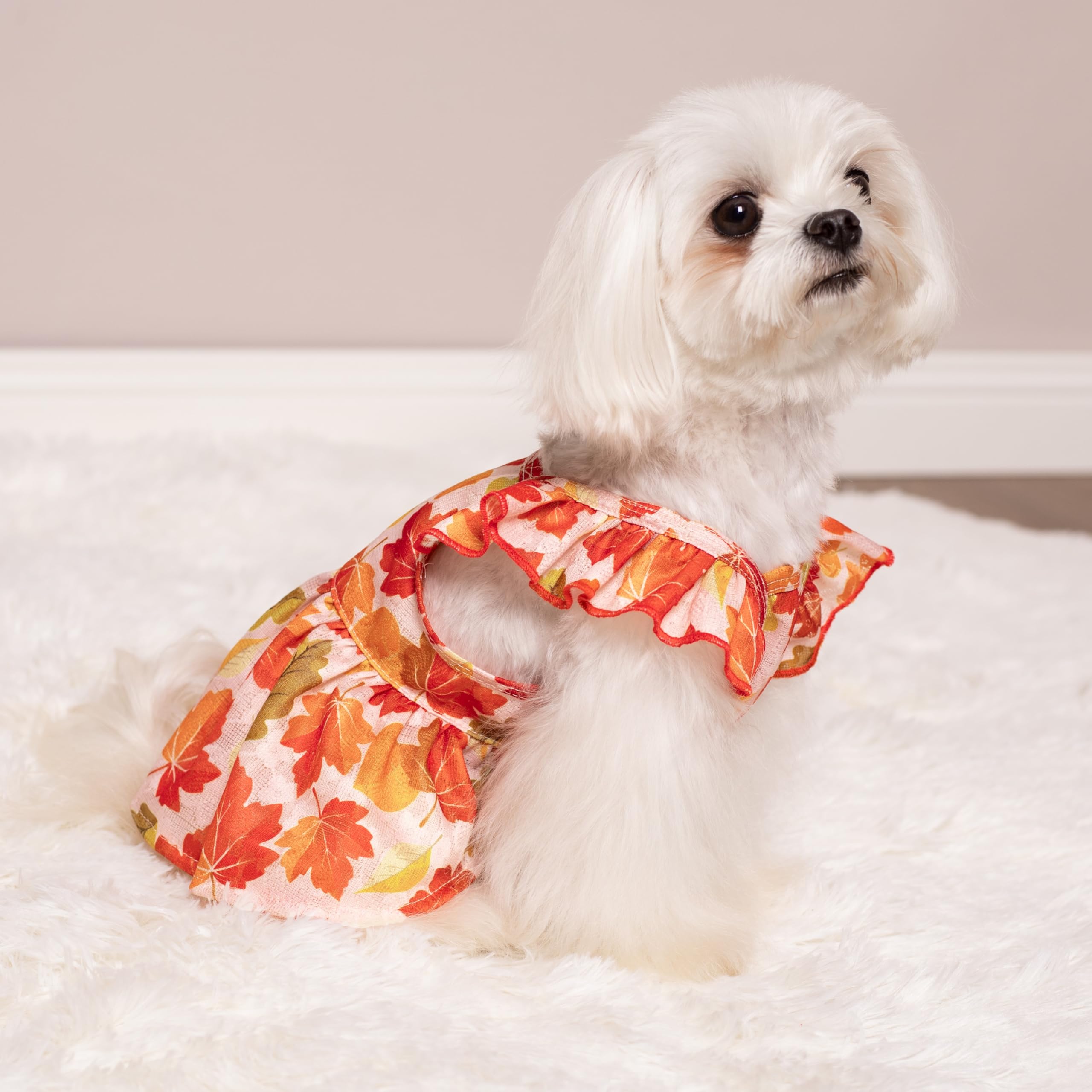 Fitwarm Maple Dog Dress, Ruffled Doggy Thanksgiving Dress, Fall Dog Clothes For Small Dogs Girl, Pet Outfit, Red, Orange, Xxs