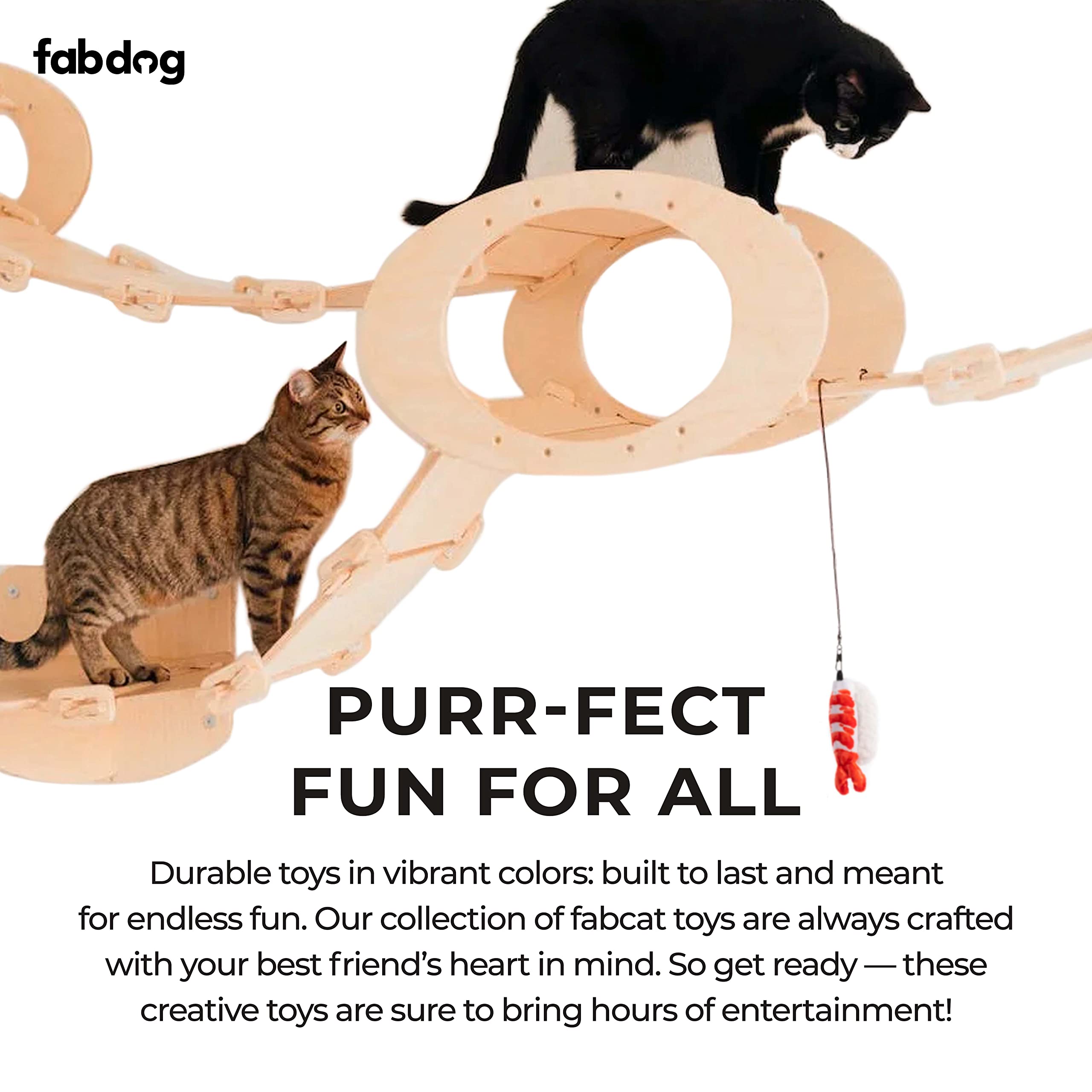 Fabdog Interactive Cat Toys For Indoor Cats - Cute Cat Toys Make Great Gifts - Best Catnip-Infused Cat Accessories | New Pack N Play Box Of 5 Sushi Rolls