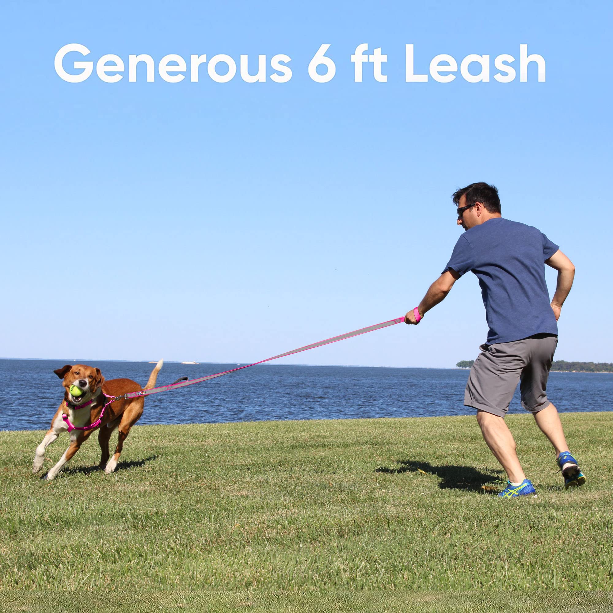 Pawtitas 6 FT Padded Dog Leash with Comfortable Neoprene Padding Handle - Teal Lead | Medium Reflective Dog Leash with Highly Re