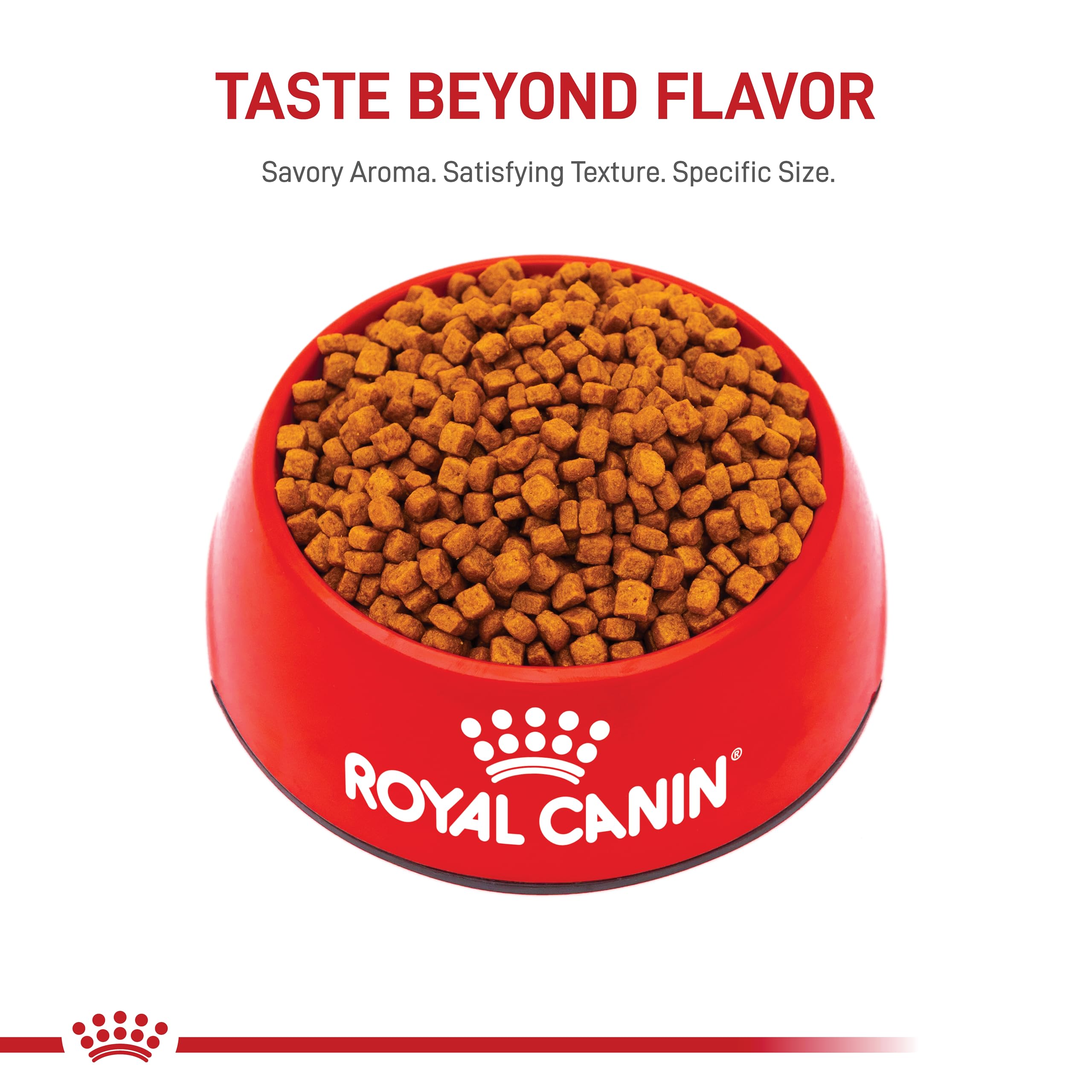 Royal Canin Poodle Puppy Breed Specific Dry Dog Food, 2.5 lb bag