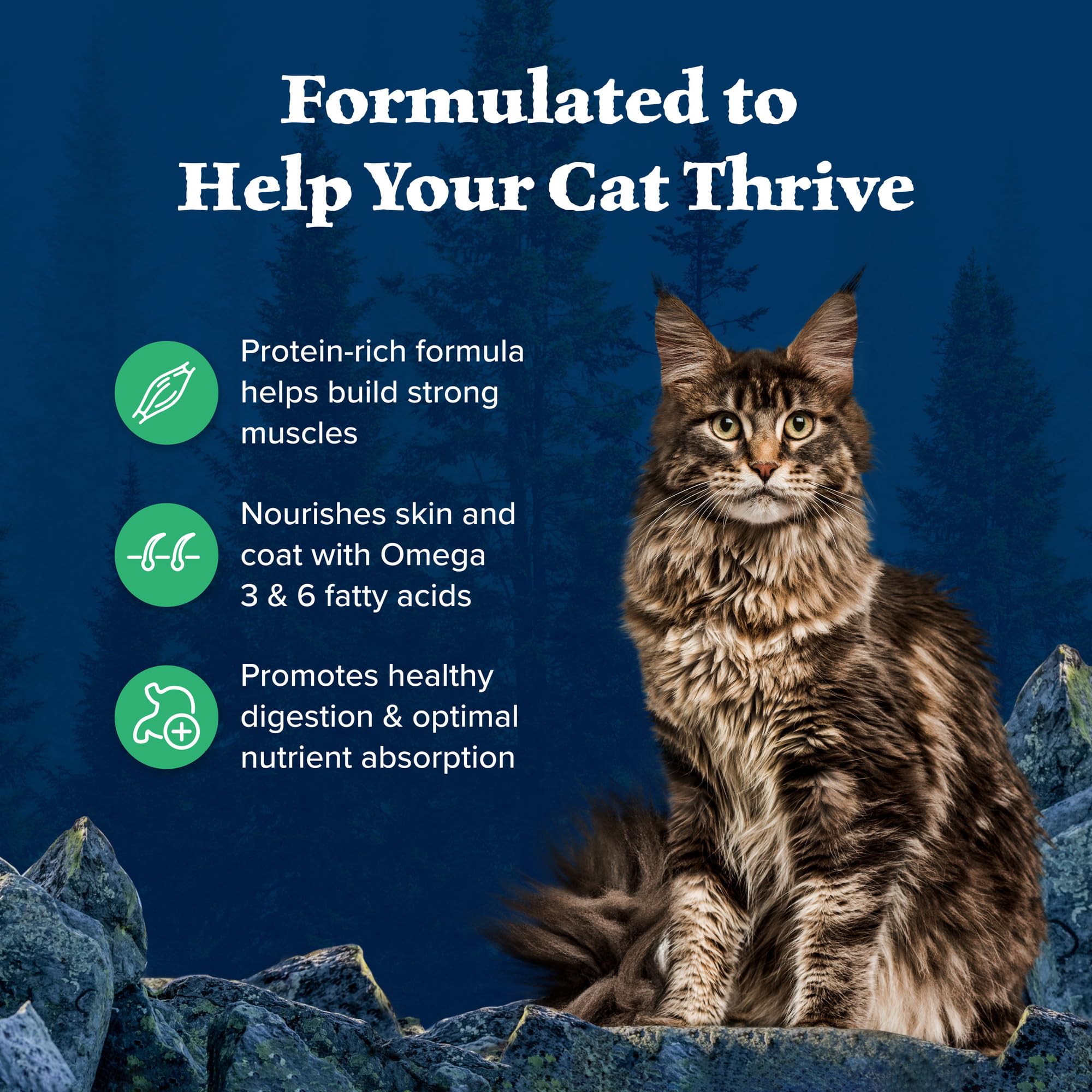 Blue Buffalo Wilderness Natures Evolutionary Diet High-Protein, Grain-Free Natural Dry Food for Adult Cats, Duck, 5-lb. Bag