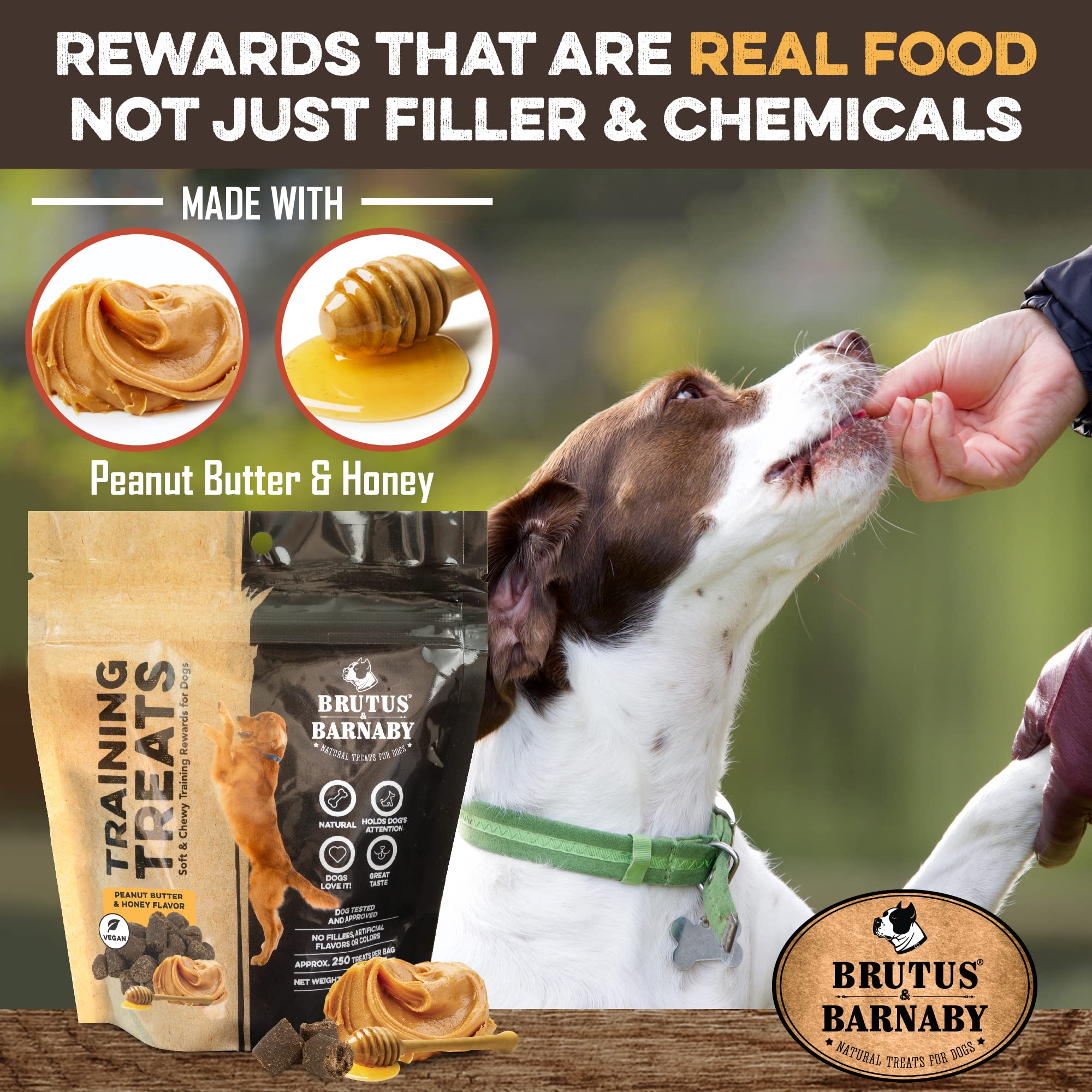 BRUTUS & BARNABY Training Treats for Dogs - Peanut Butter & Honey - All-Natural Healthy Low Calorie Vegetarian Treat - Great to