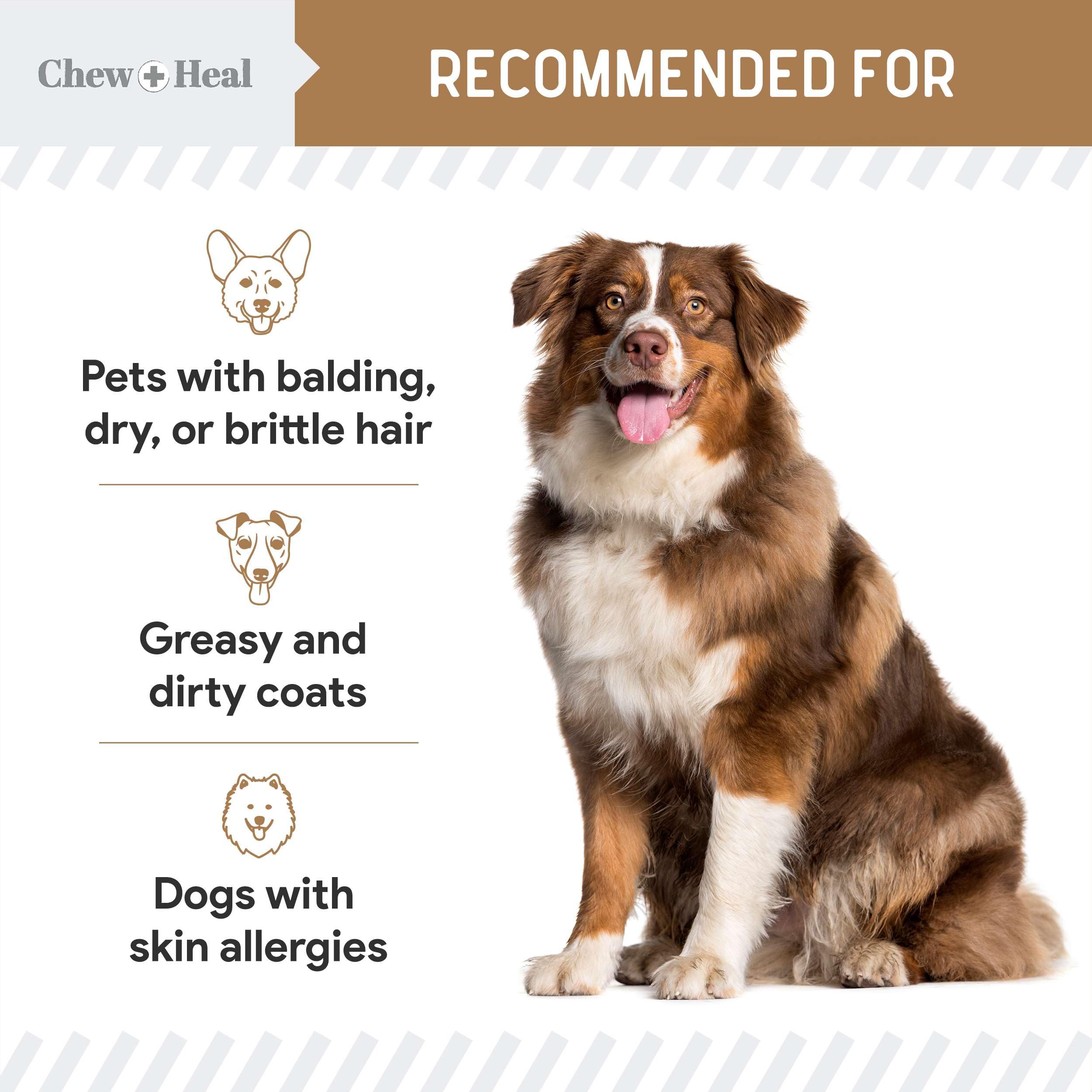 Omega for Dogs - 180 Delicious Soft Chews - Salmon Oil Treats for Skin and Coat, Itch Relief - Fish Oil Blend of Essential Fatty