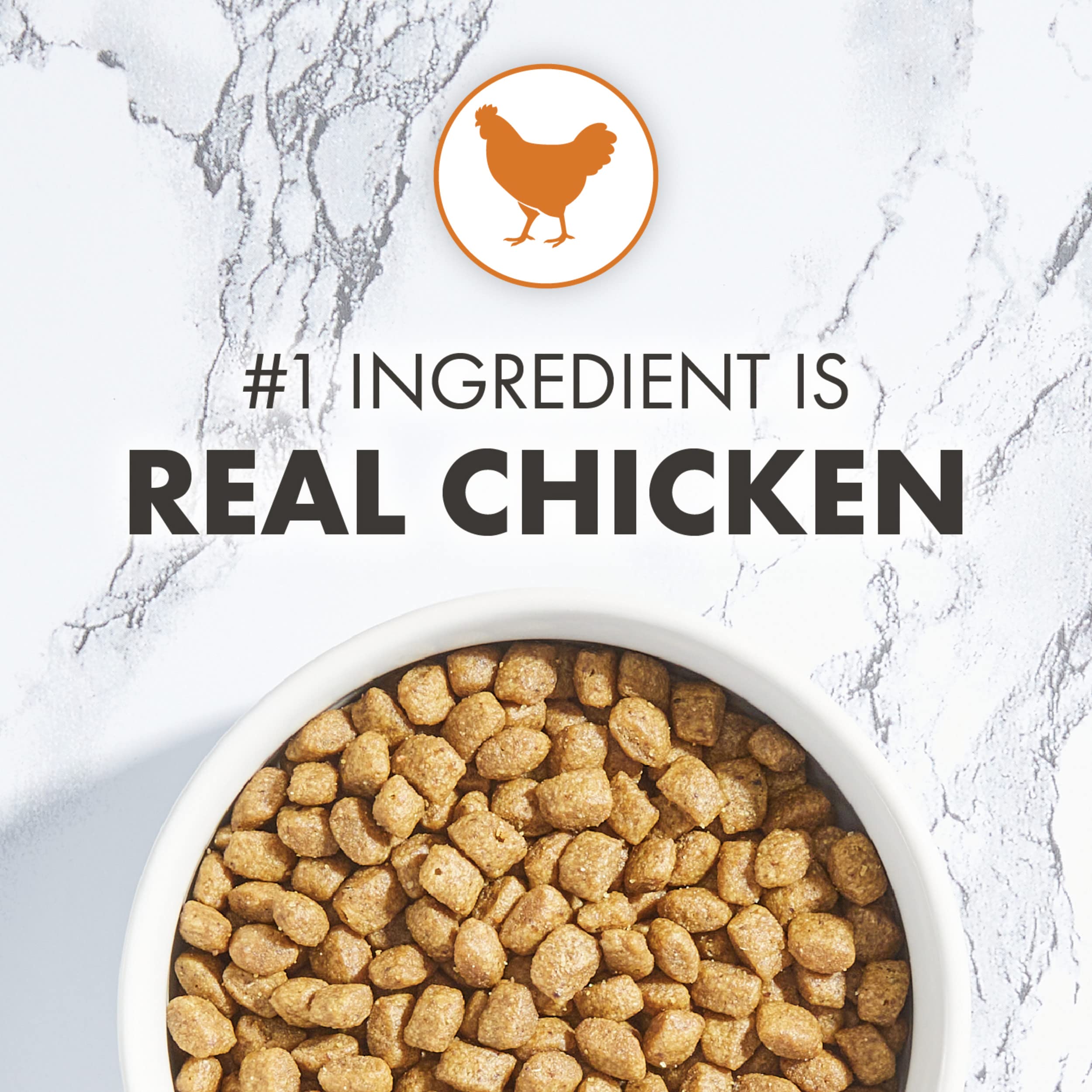 Nutro Wholesome Essentials Natural Dry Kitten Food Chicken & Brown Rice Recipe, 3 lb. Bag