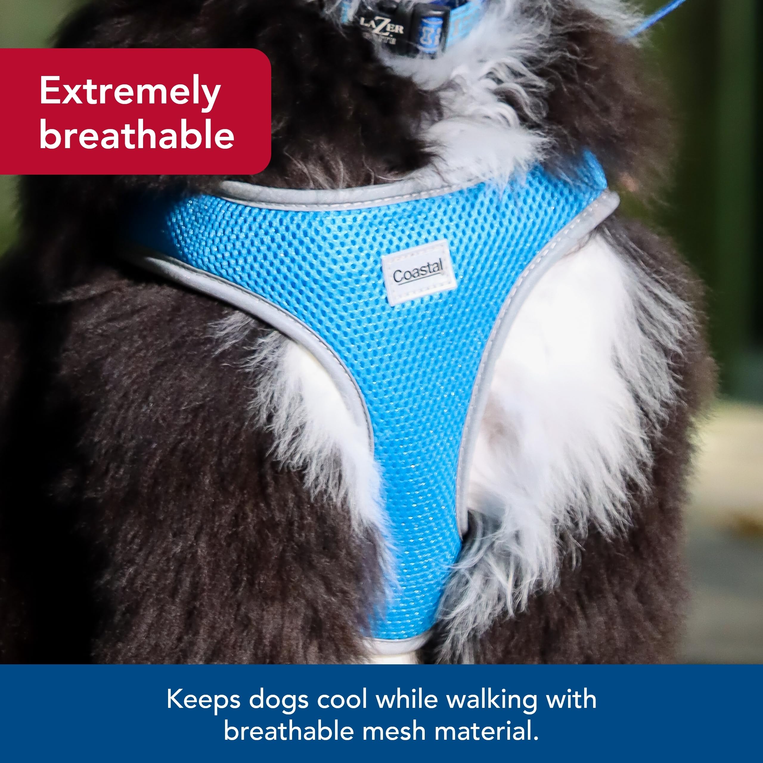 Coastal Pet Comfort Soft Reflective Wrap Adjustable Dog Harness - No-Pull Dog Harness For Small & Large Dogs - Blue Lagoon - 5/8' X 19'–23'