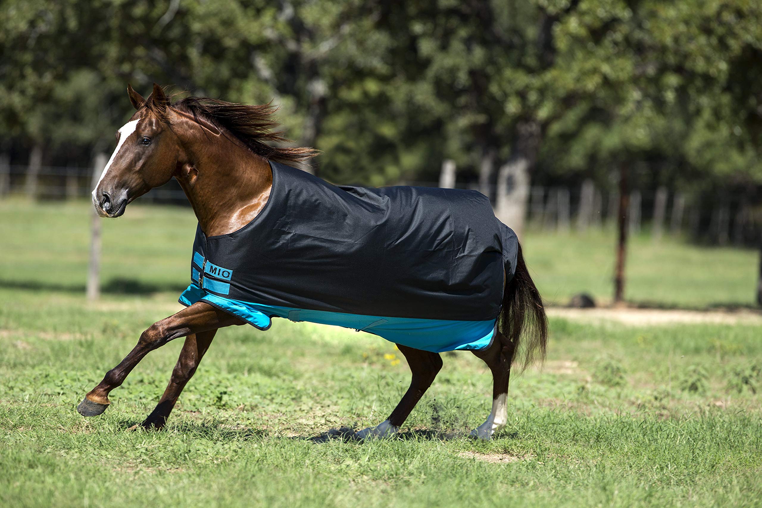 Amigo Mio Turnout Sheet Lite Black/Turquoise/Black 81