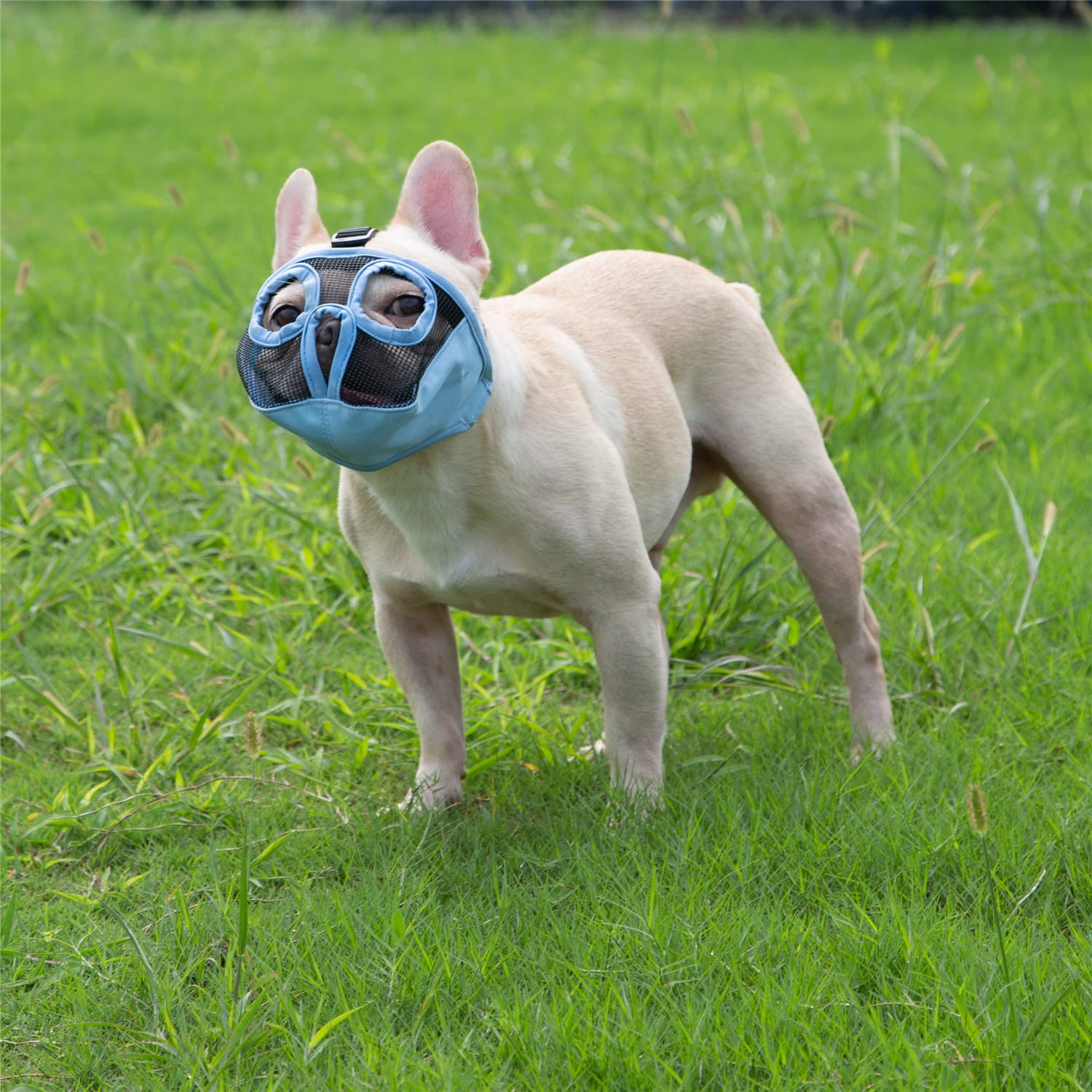 Jyhy Short Snout Dog Muzzles- Adjustable Breathable Mesh Bulldog Muzzle For Biting Chewing Licking Grooming Dog Mask,Blue Xl