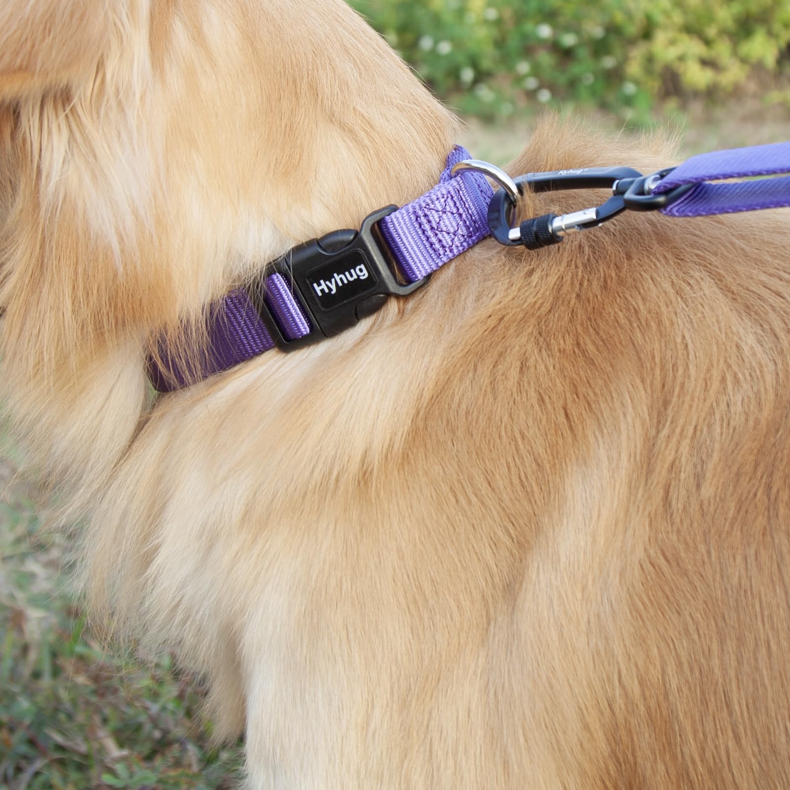 Hyhug Pets Solid Color Classic Regular Soft Nylon Basic Collar For Medium Breeds Dogs, Unique Design Adjustment Triglide Slide (