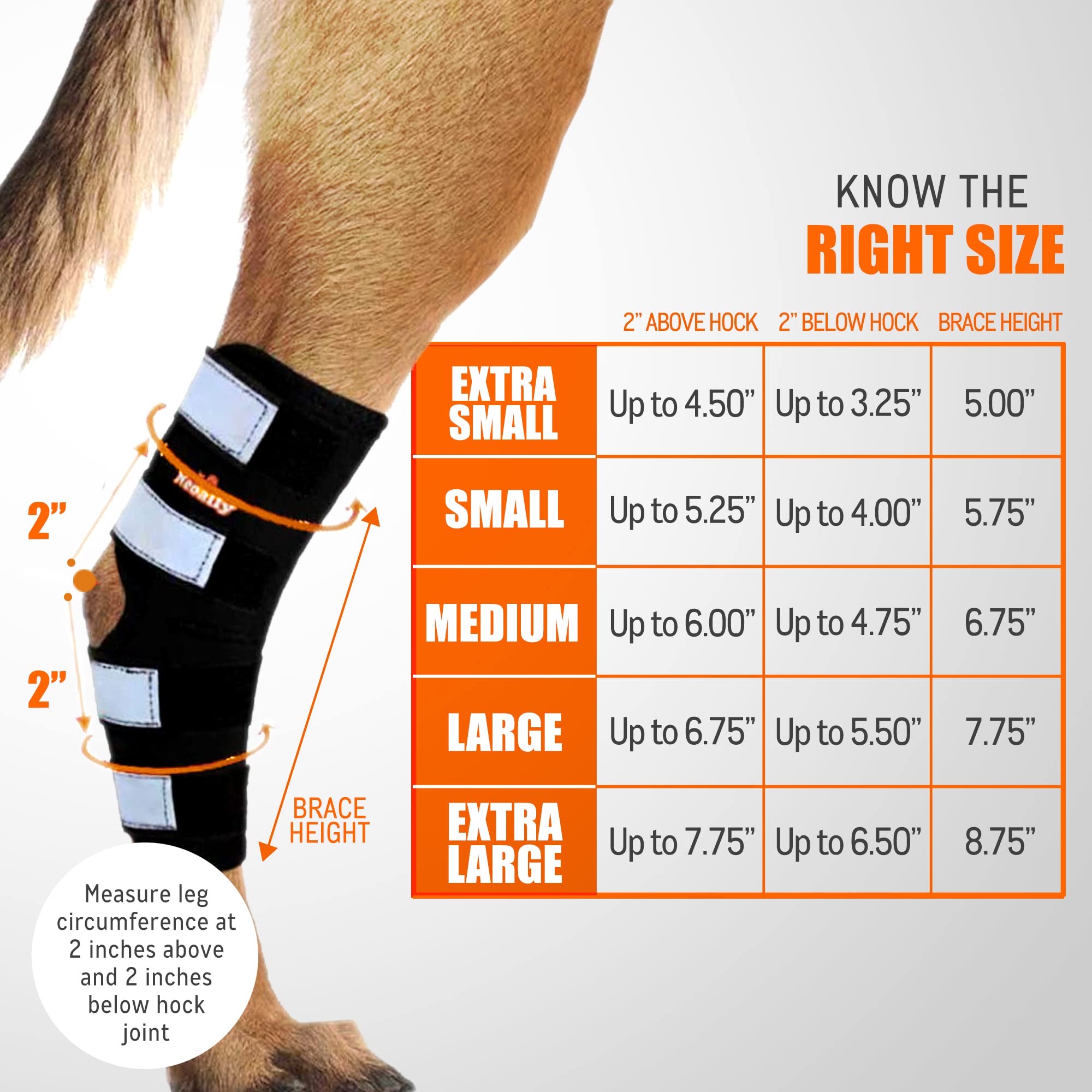 NeoAlly - Rear Leg Hock Brace, Dog Leg Brace for Rear Leg, Hock & Ankle Support for Large Dogs, Dog Brace for Torn Acl and Ccl,