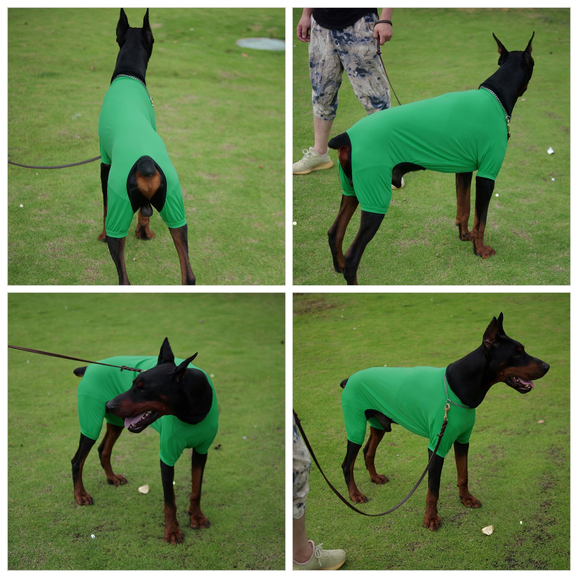Lovelonglong Dog Jumpsuit With Uv Protection And Quick-Dry Fabric For Spring Summer Pet Pajamas Leaf Green Xl