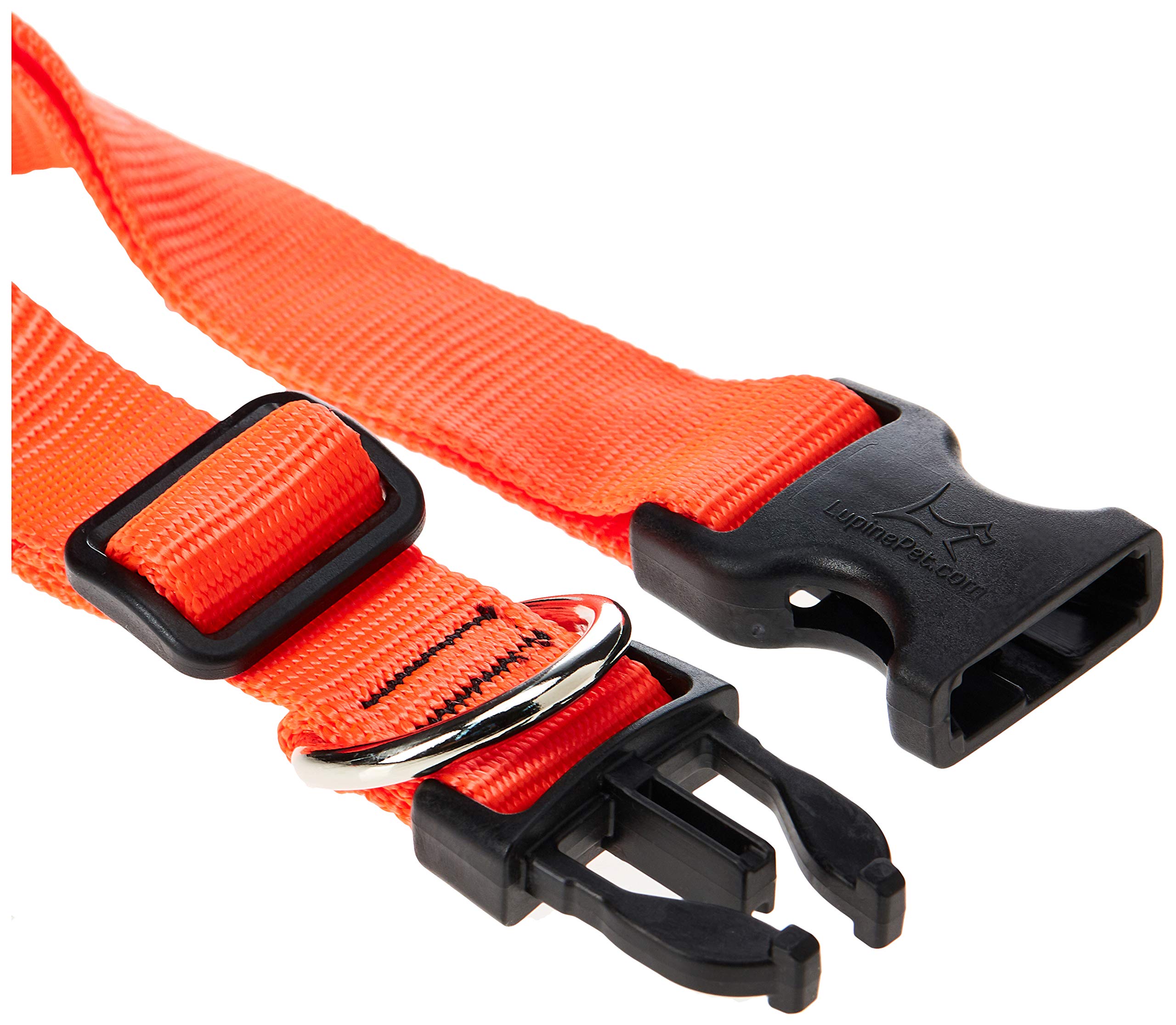 LupinePet Basics 1 Blaze Orange 16-28 Adjustable Collar for Large Dogs