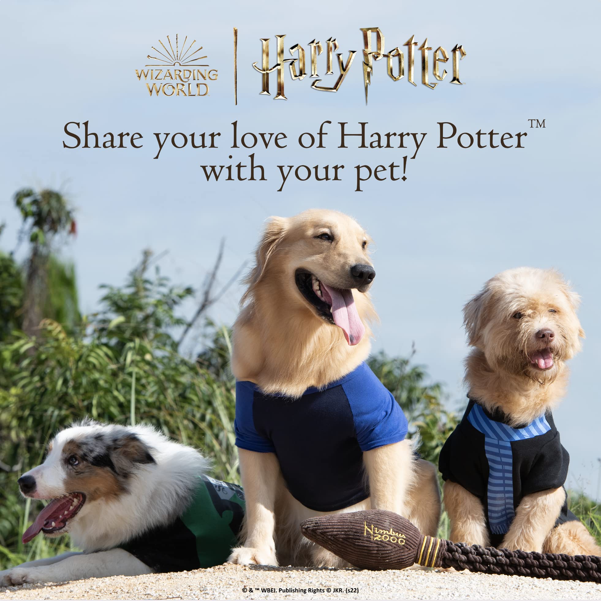 Harry Potter 4PK Pet Tennis Balls - 2.5" Rubber, Multicolor, Model FF18913